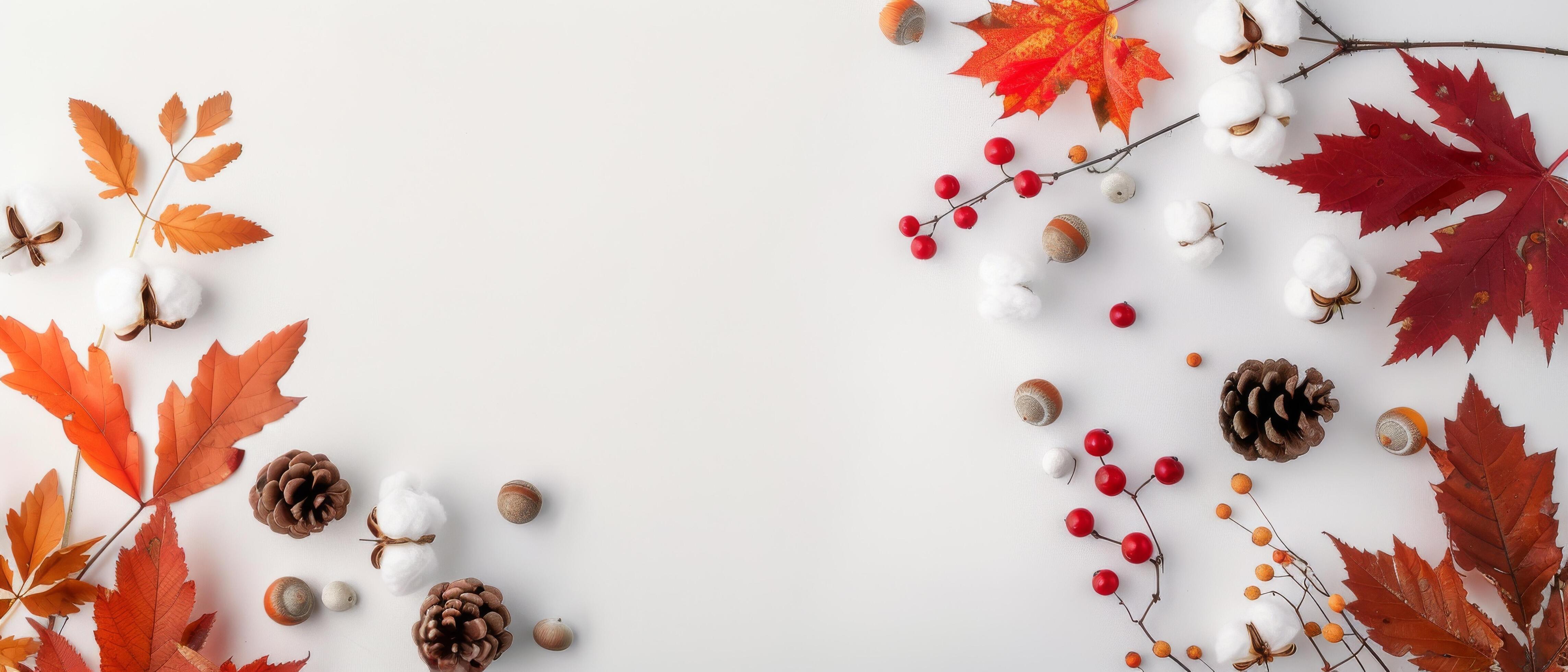 Fall Foliage and Cotton Bolls on White Background Stock Free