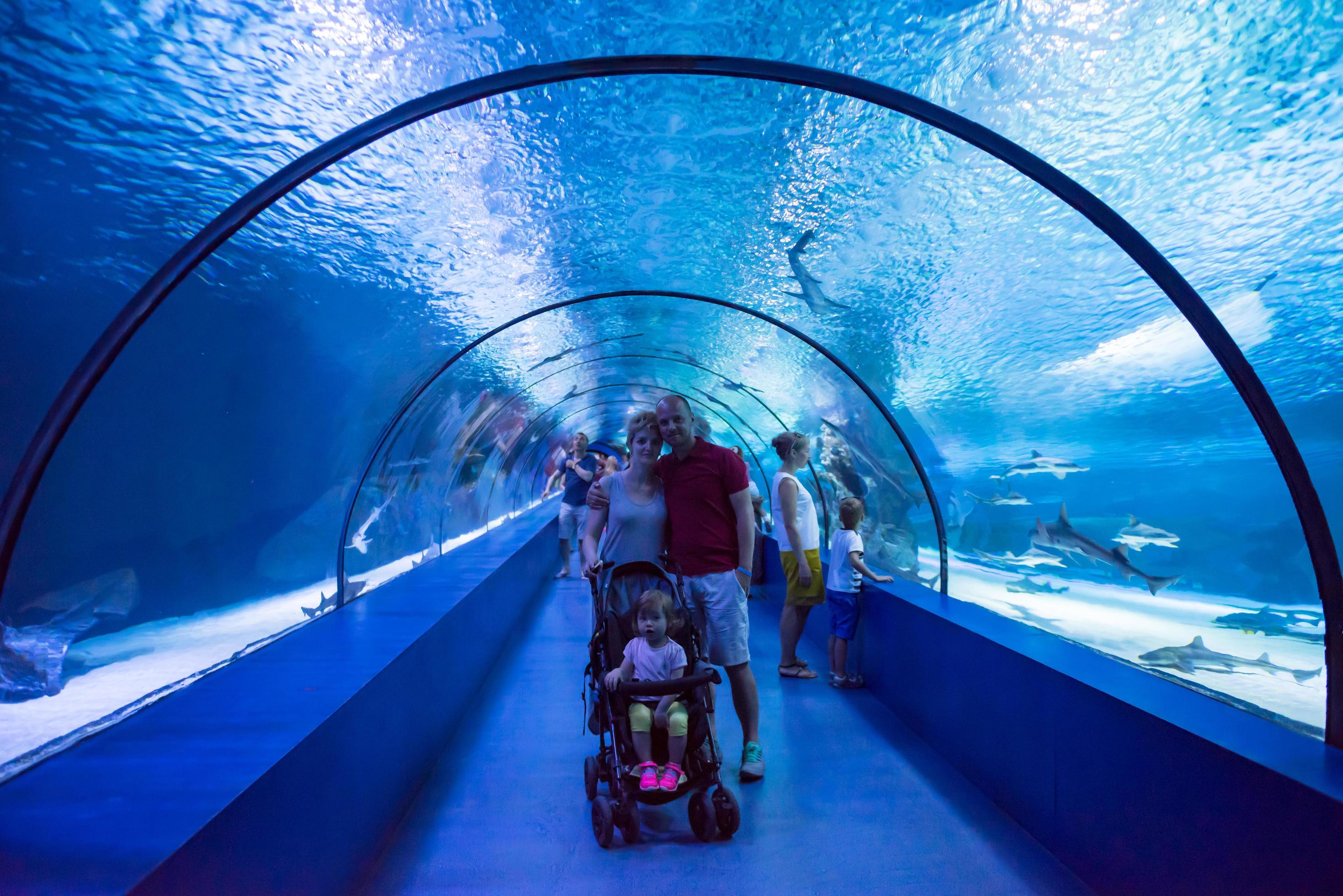 happy family in the underwater aquarium Stock Free