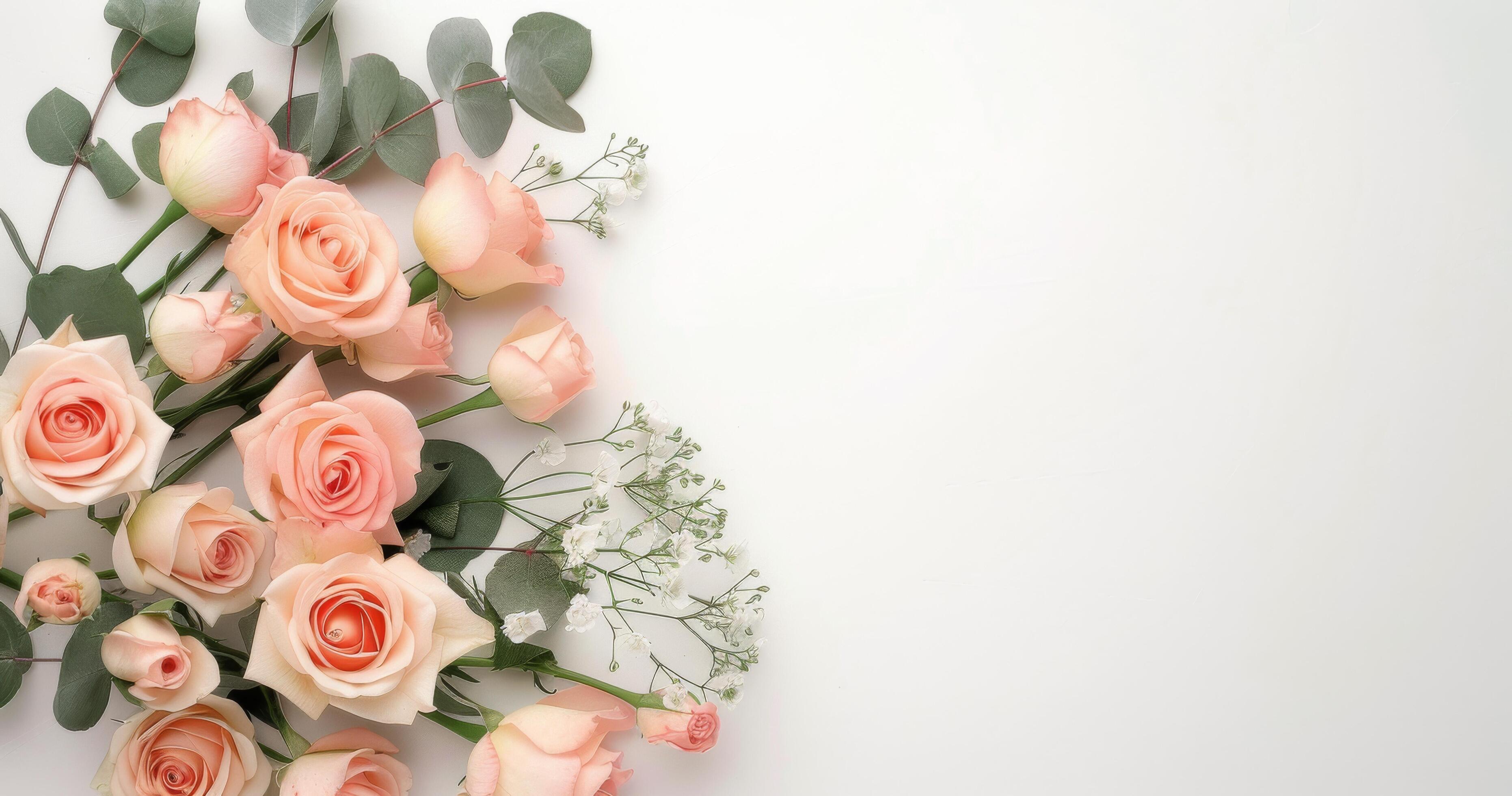 Pink Roses and Eucalyptus on White Background Stock Free