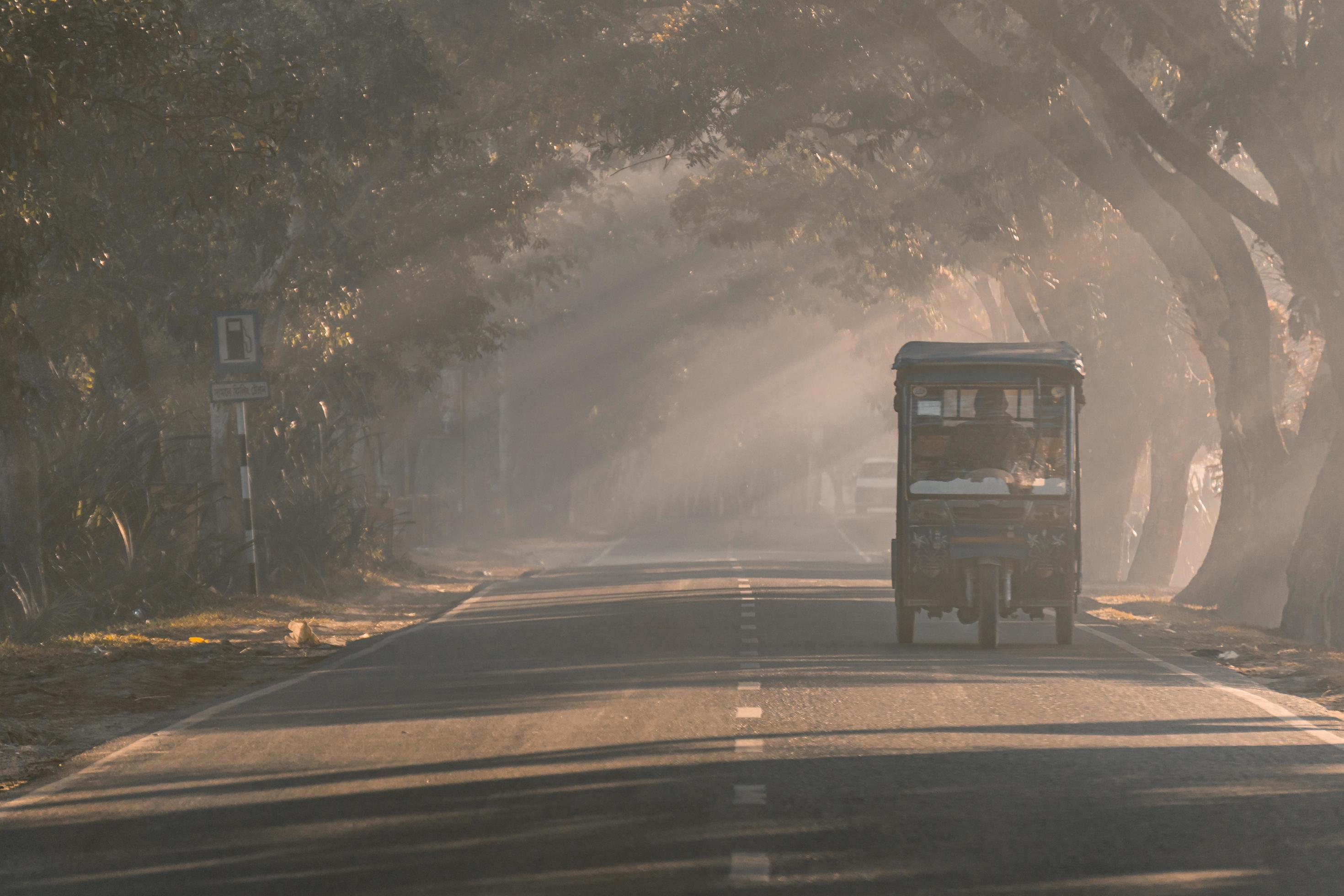 driving through the foggy road Stock Free