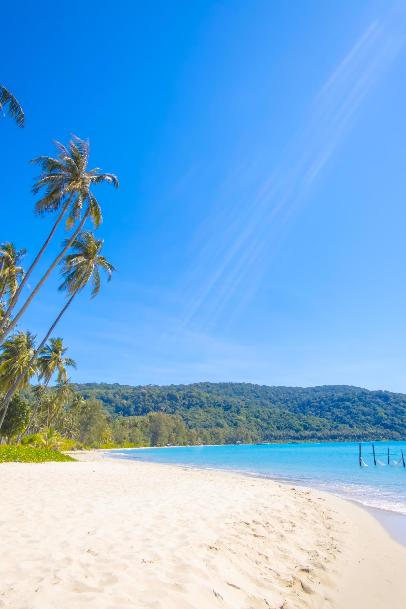 Beautiful tropical beach as summer seascape with palm tree and blue sky for travel in holiday relax time,on nature background Stock Free