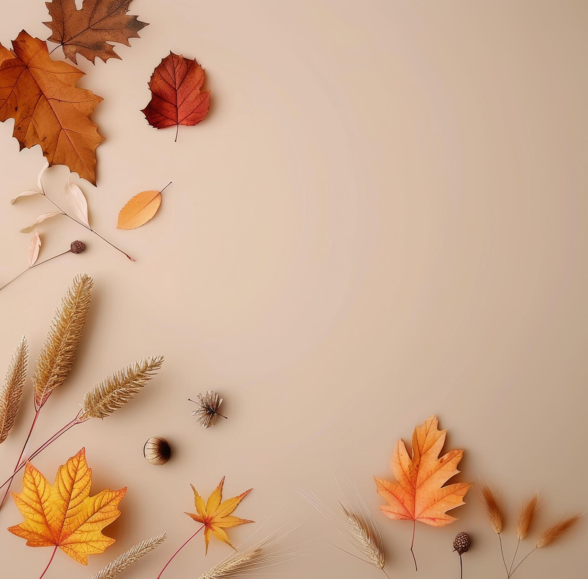 Autumn Leaves and Grasses on Tan Background Stock Free