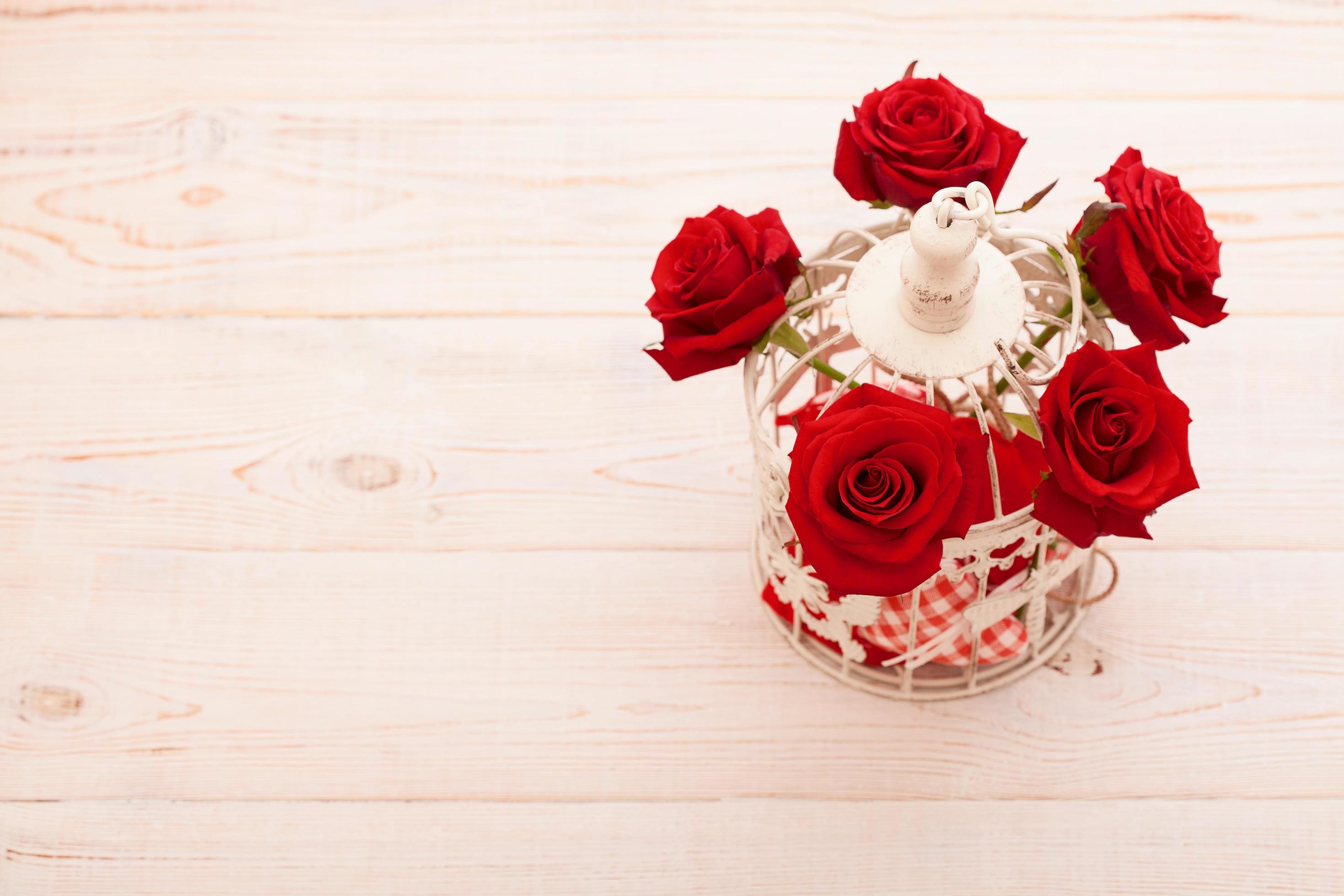 Frame of colorful roses on blue wooden background. Top view and selective focus. Mock up. Copy space. Flowers. Mother Valentine Stock Free