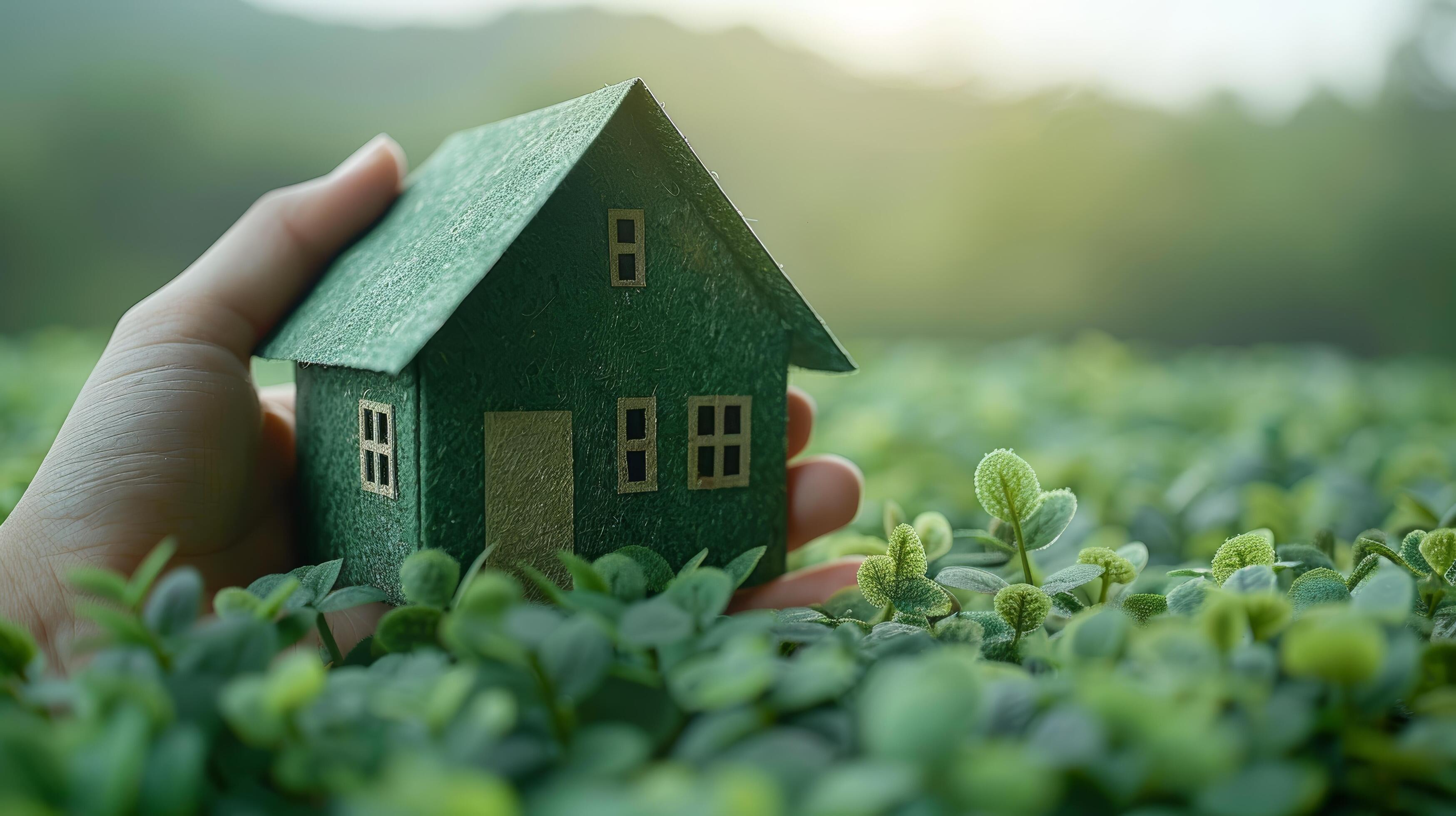 
									Small House on Lush Green Field Stock Free