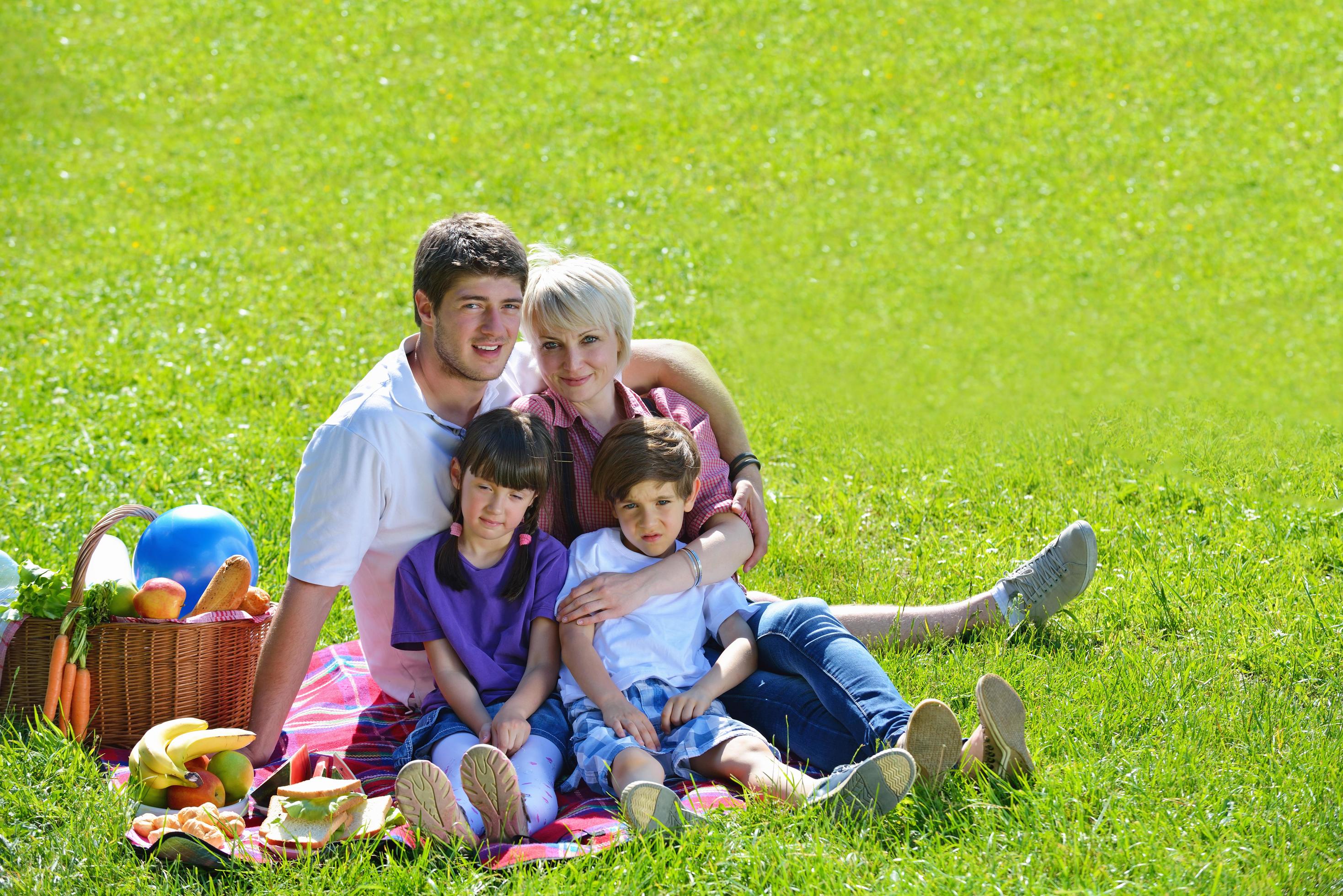 Happy family playing together in a picnic outdoors Stock Free