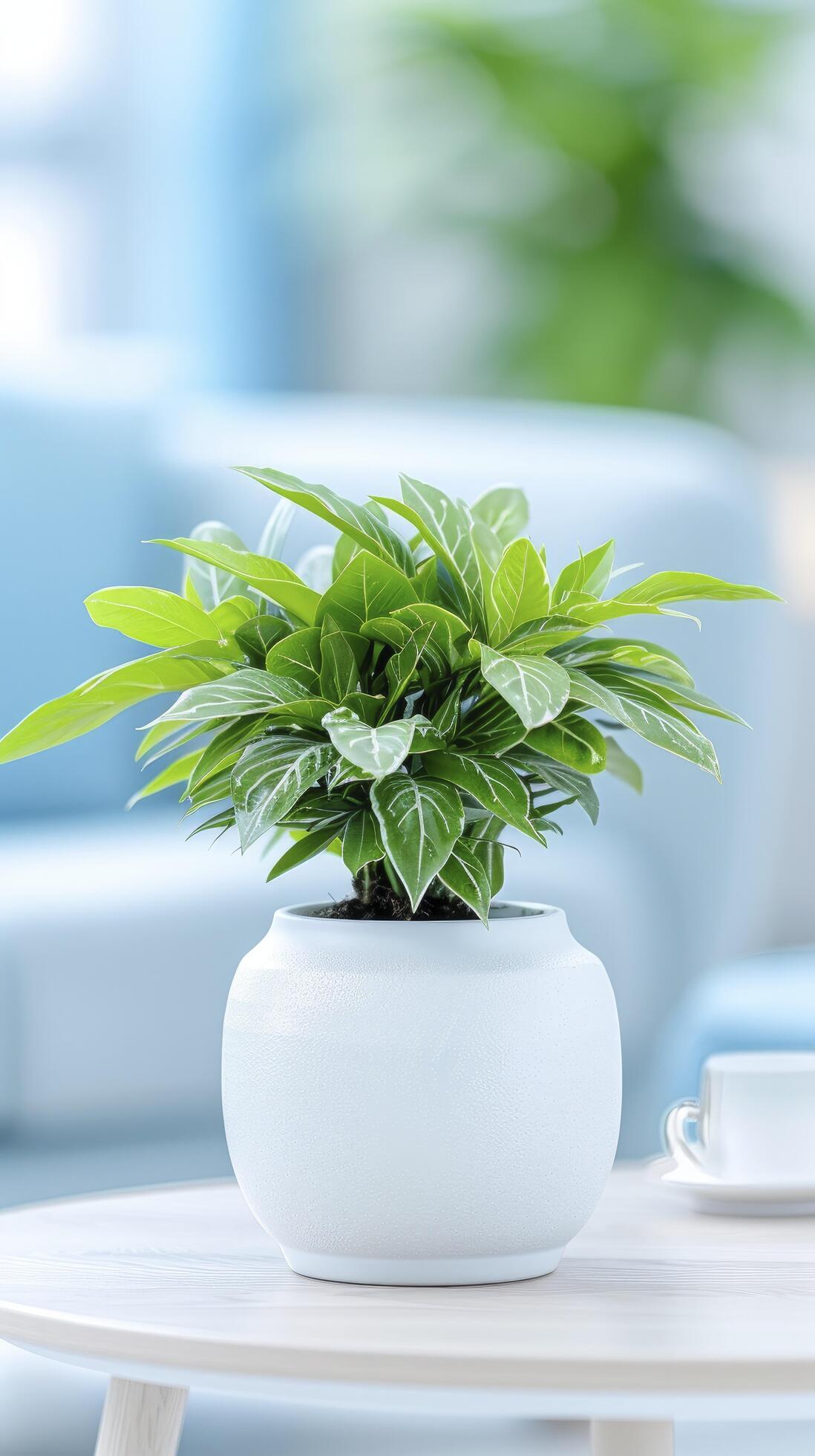 Table with potted plant in a modern office interior, with blurred background. Stock Free