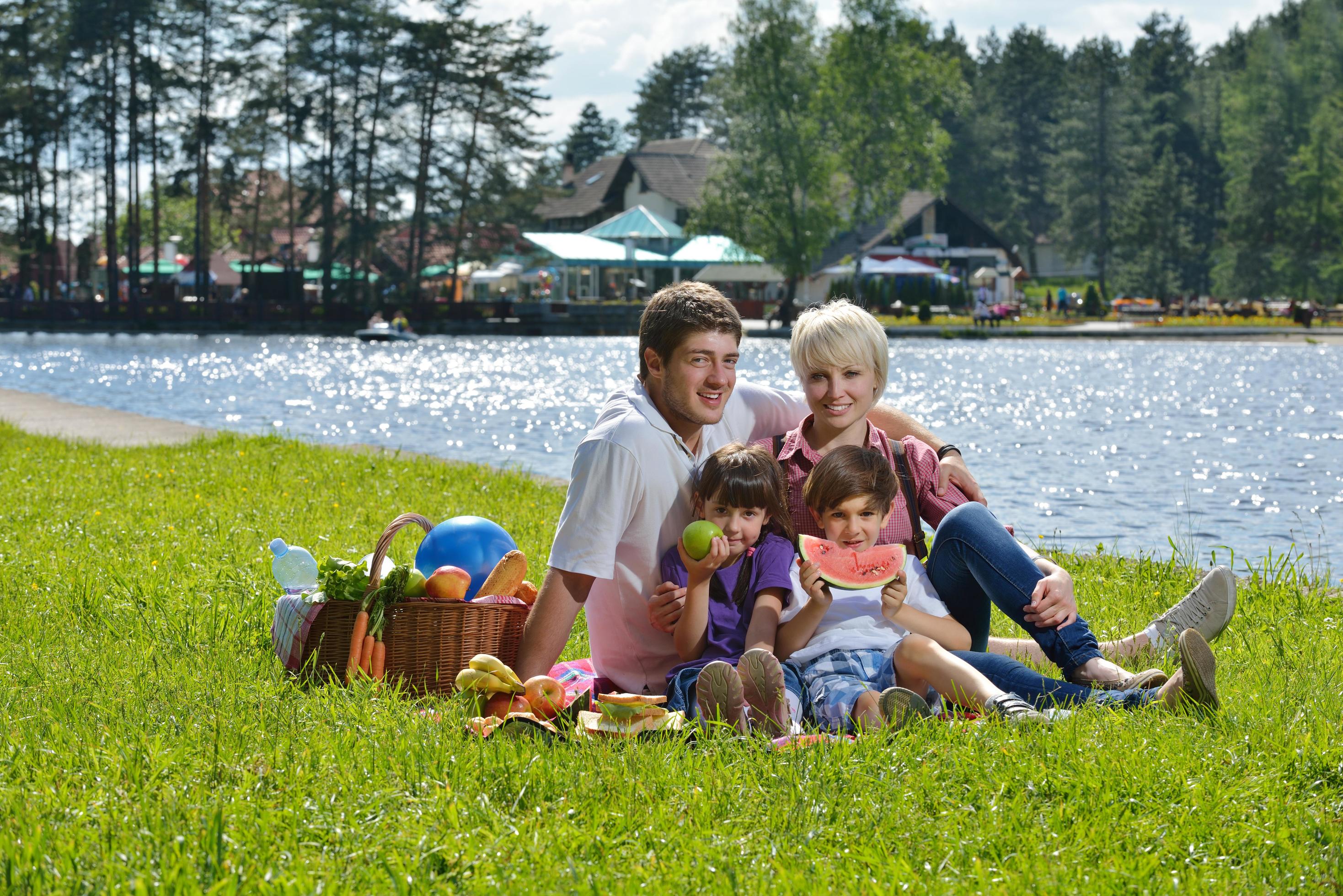 Happy family playing together in a picnic outdoors Stock Free