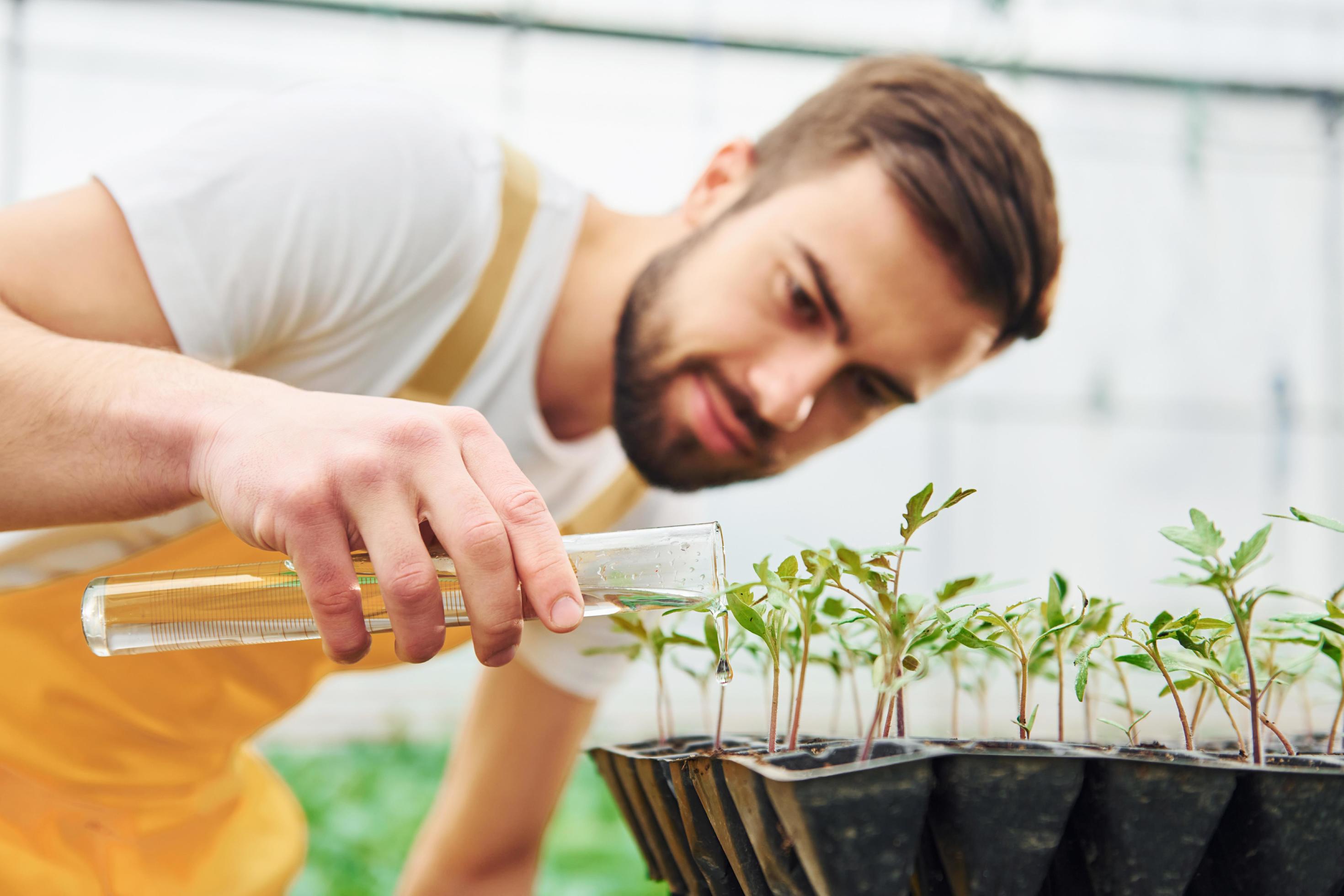 Using test tube and watering plants. Young greenhouse worker in yellow uniform have job inside of hothouse Stock Free