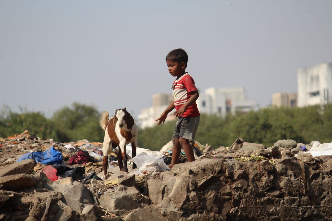 Street Children India Goat Stock Free