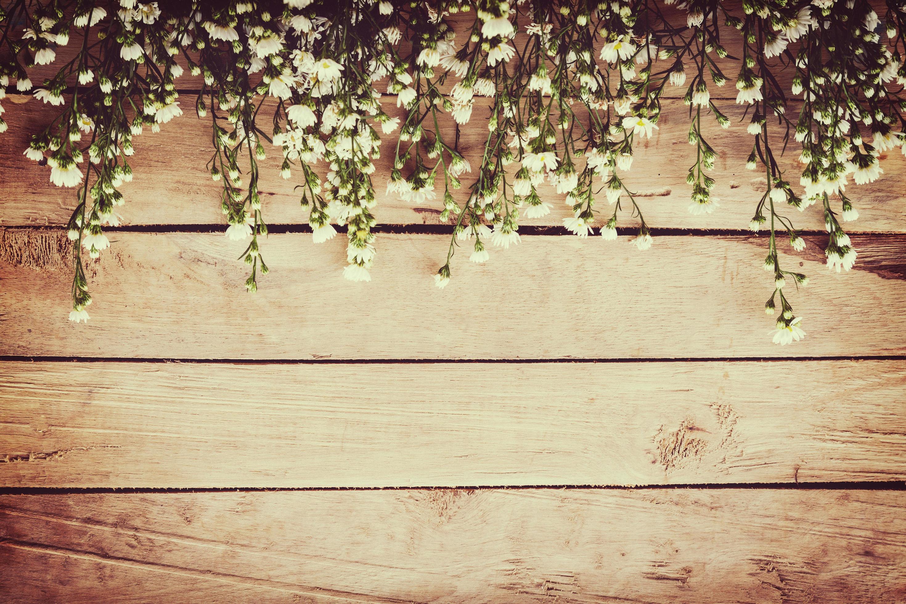 White flower on grunge wood board background with space. Stock Free