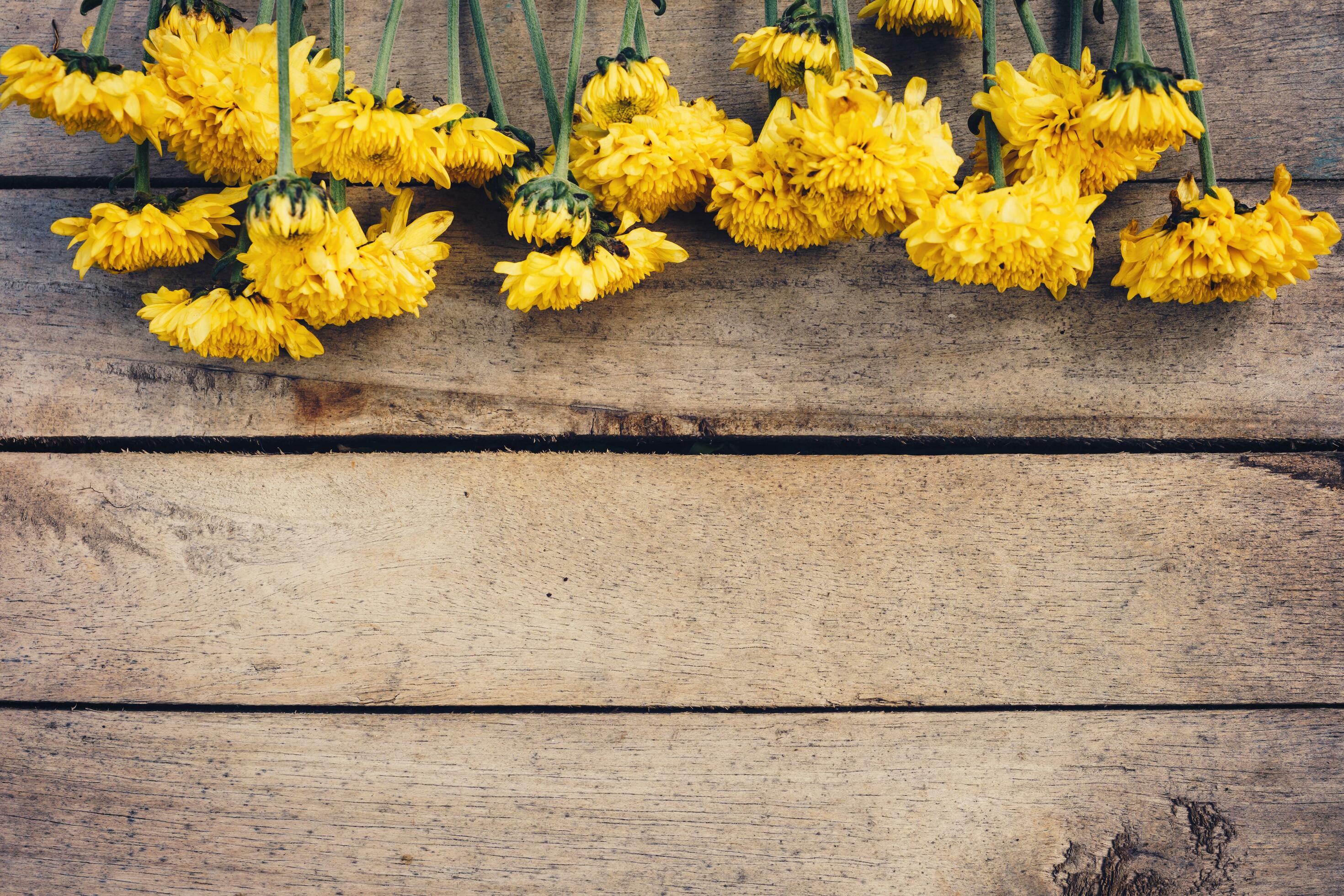 Yellow flowers of bouquet, top view on wooden background texture with copy space Stock Free