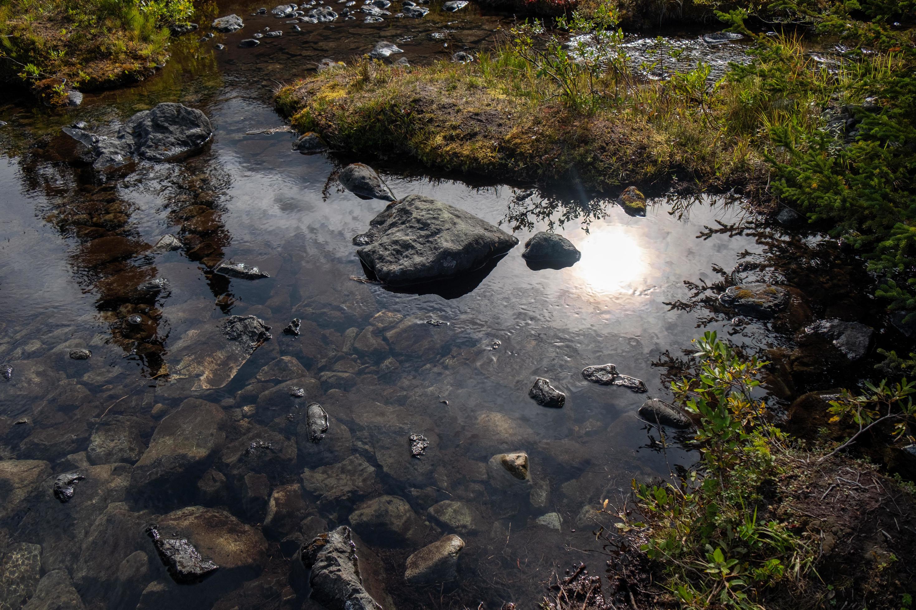 Nature landscape in Alaska Stock Free