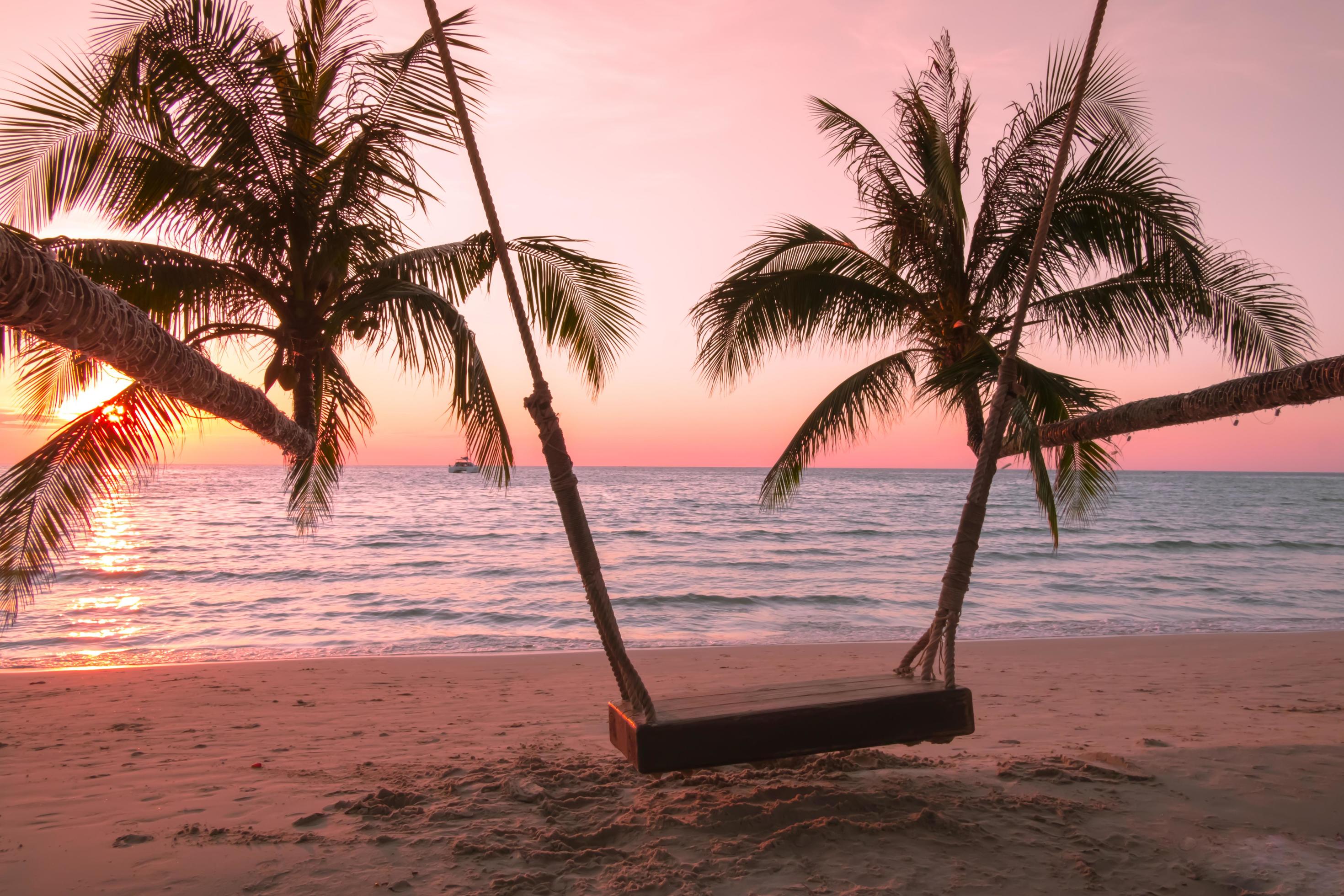 Wood swing with palm tree on the tropical beach sunset over the sea for travel in holiday relax time, Stock Free