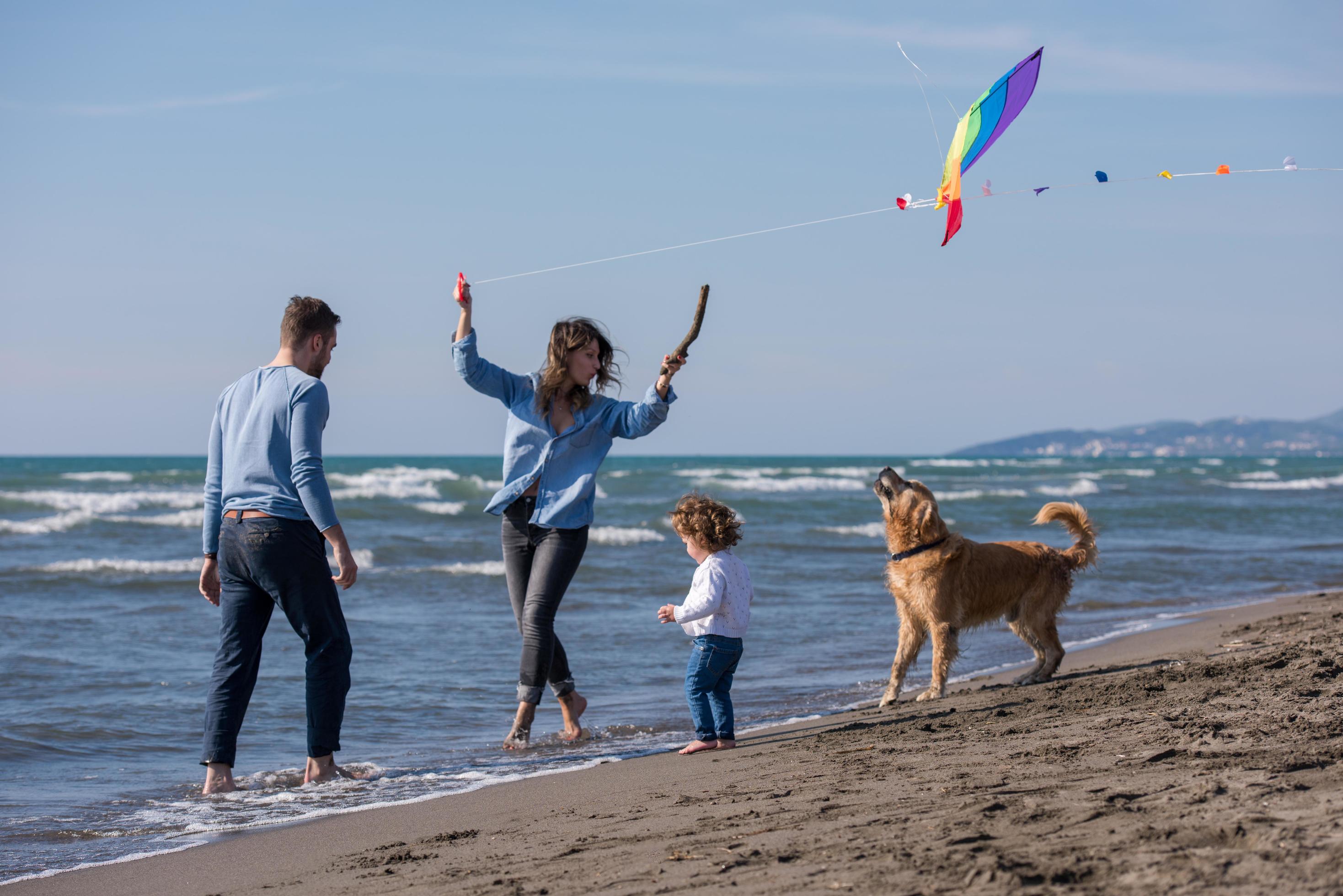 happy young family enjoying vecation during autumn day Stock Free