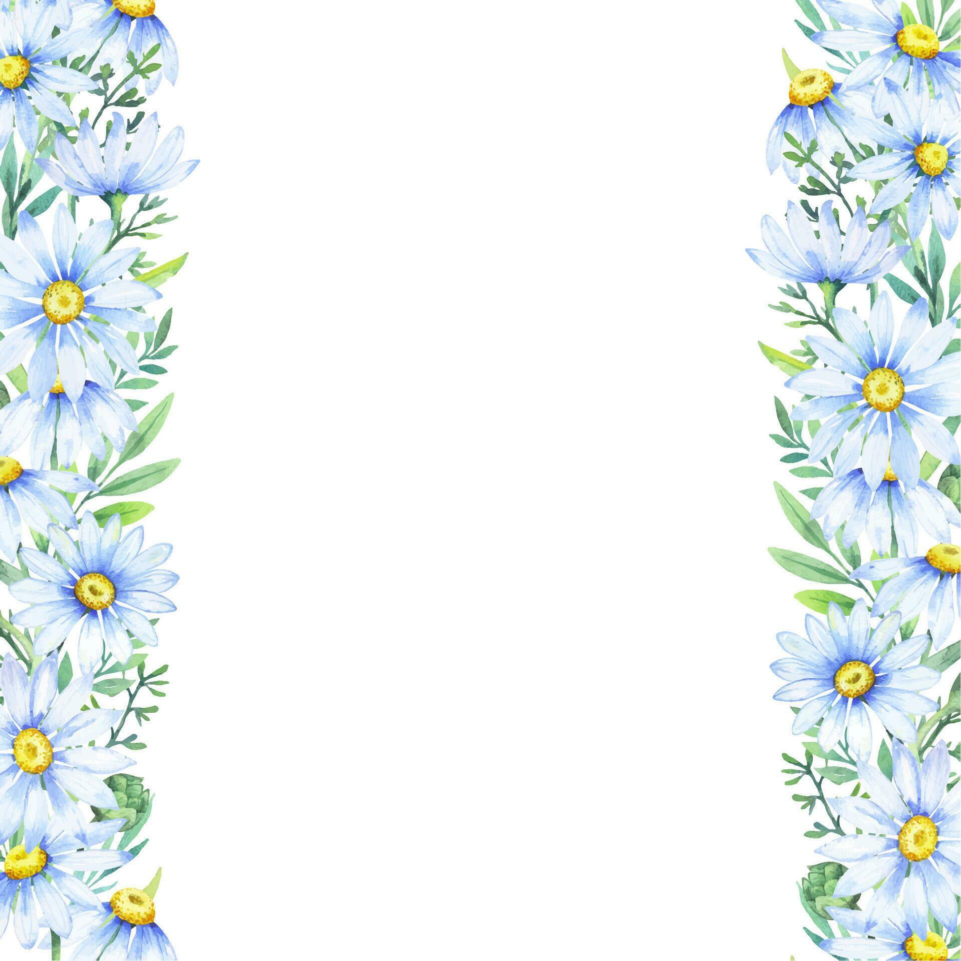 Floral daisy border, watercolor illustration. White daisy. Floral botanical flower. Frame border ornament Stock Free