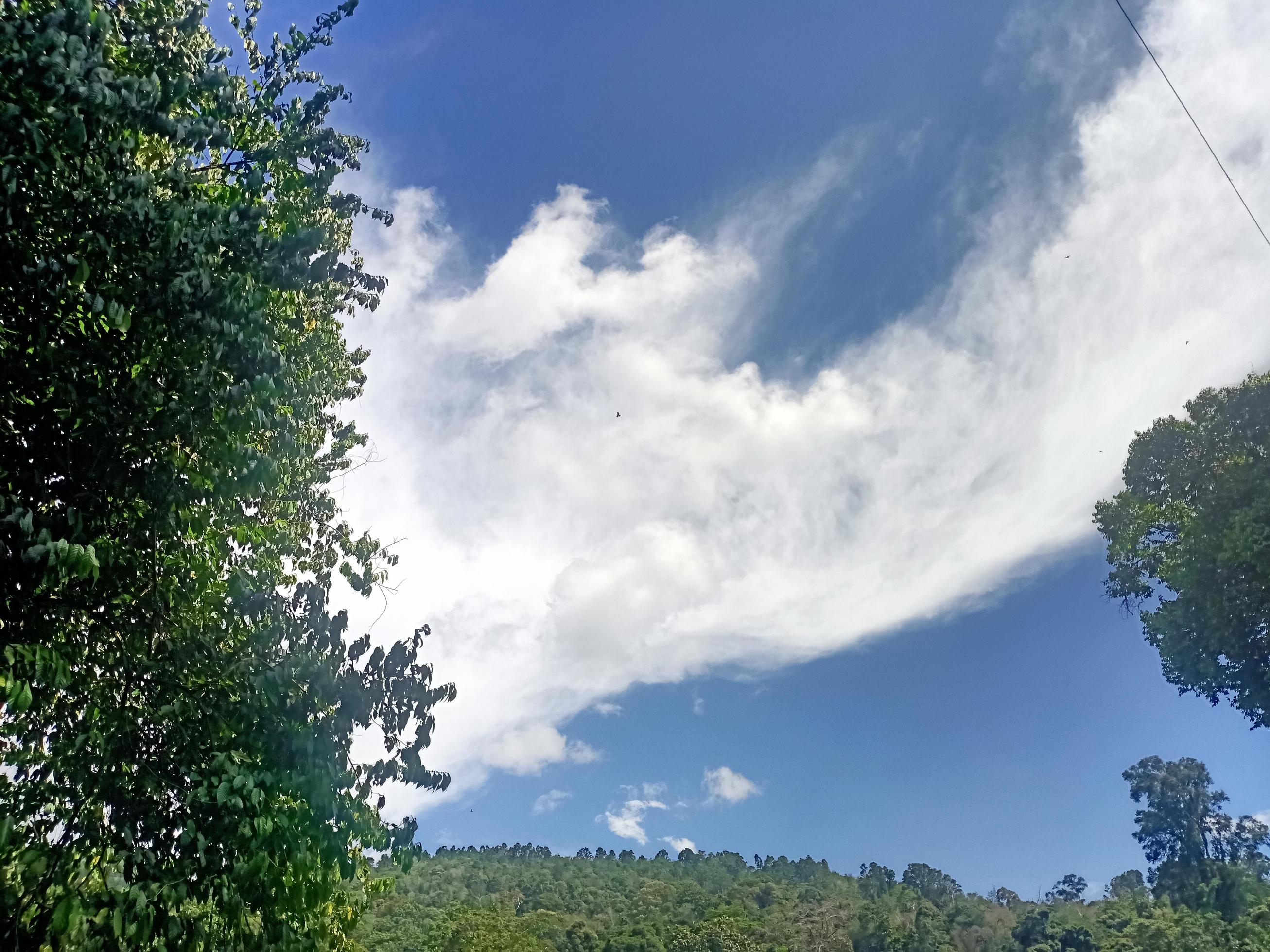 beautiful view clear blue sky and lots of natural green trees Stock Free