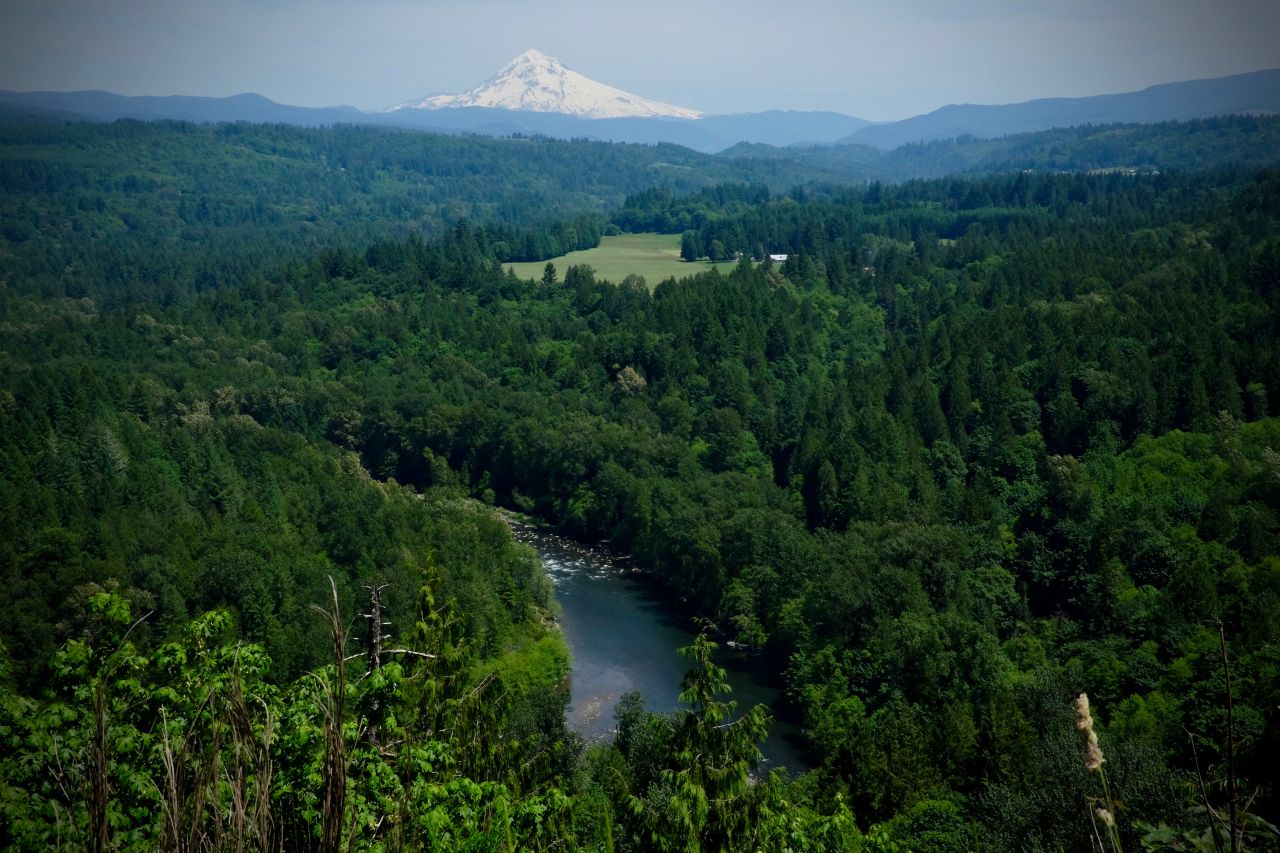 Mount Hood Stock Free