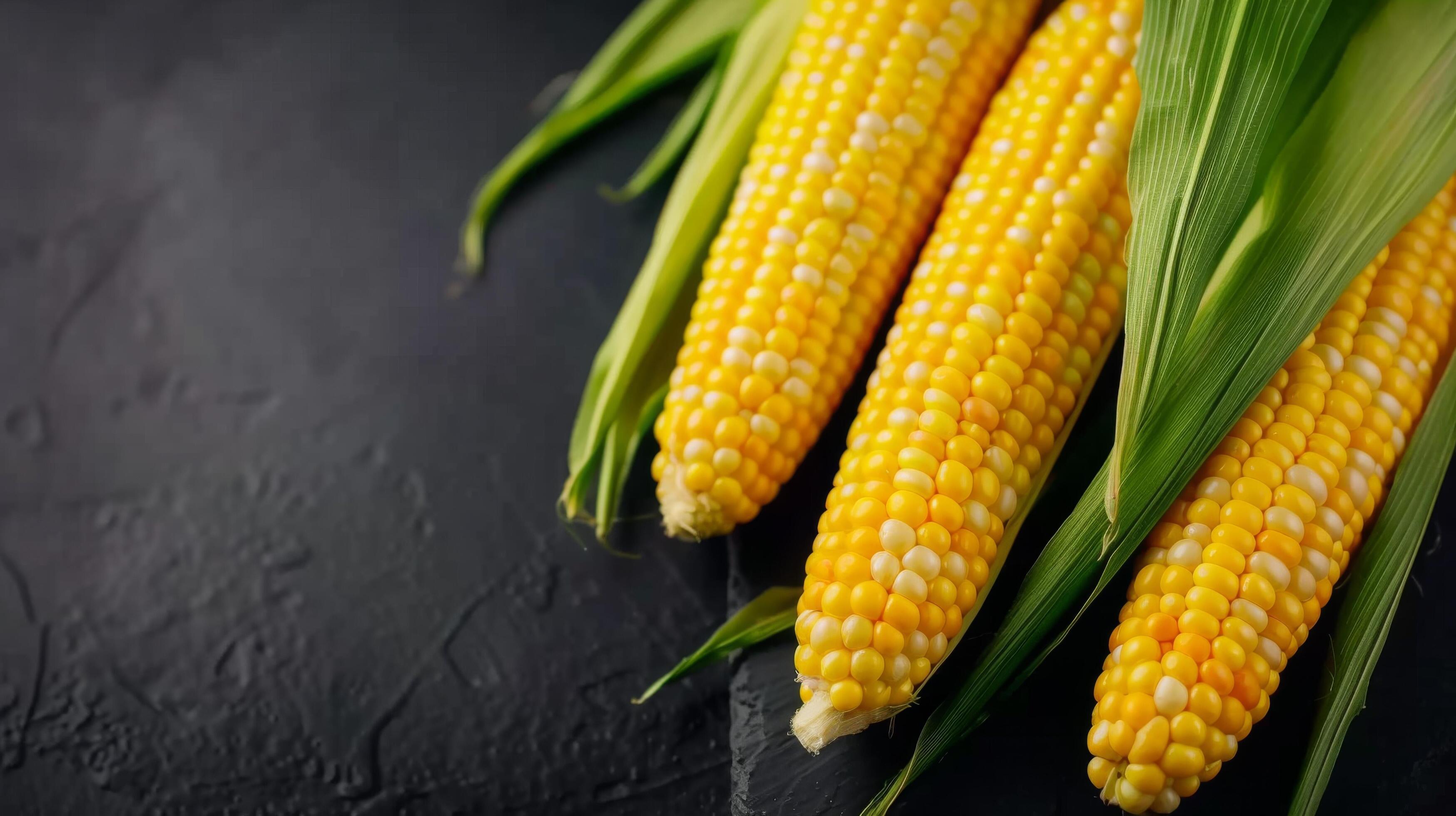 Three Ears Of Corn On A Black Background Stock Free