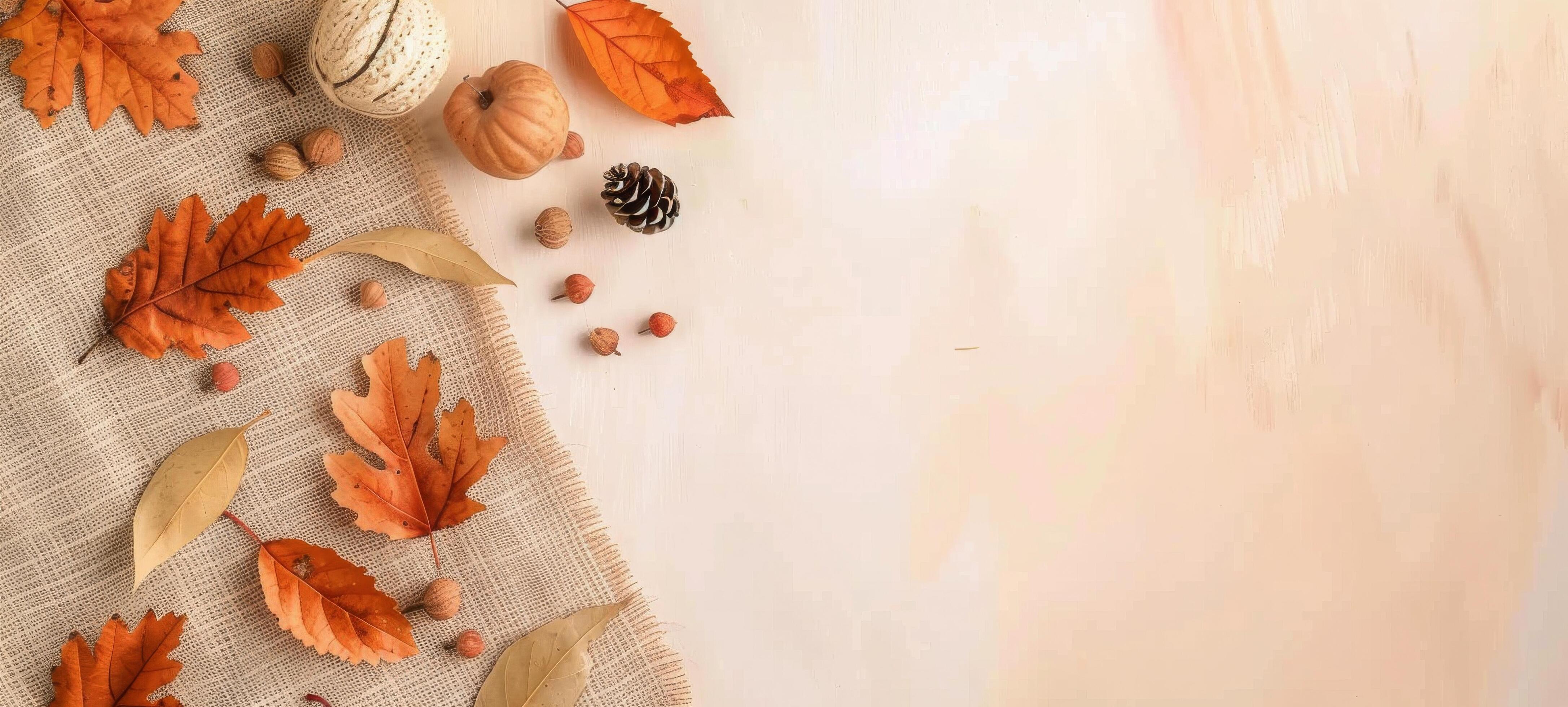 Autumn Leaves and Pine Cones on a White Background Stock Free