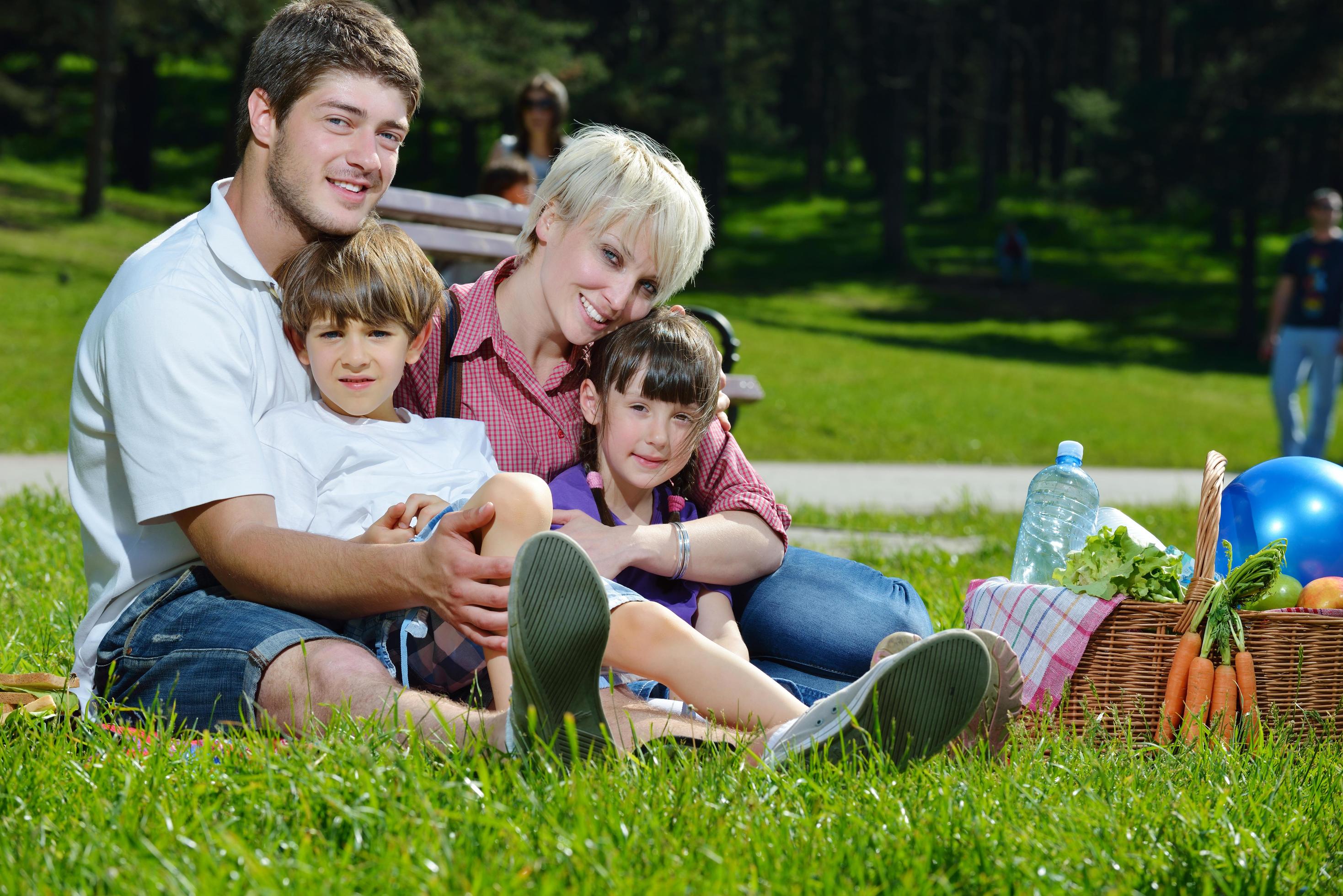 Happy family playing together in a picnic outdoors Stock Free