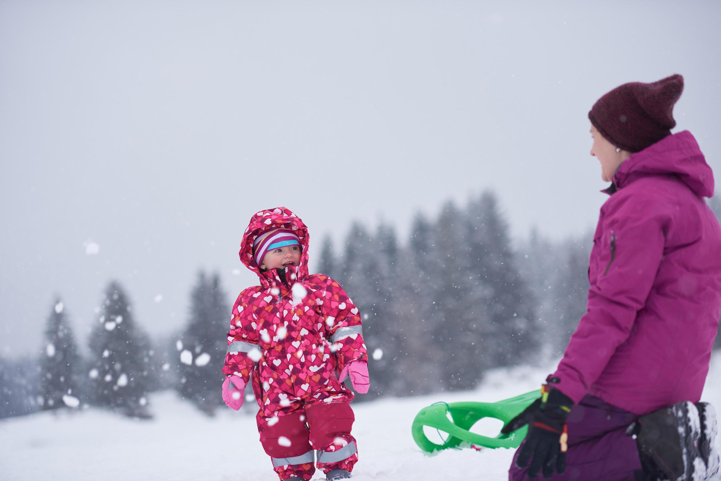 Family in winter landscape Stock Free