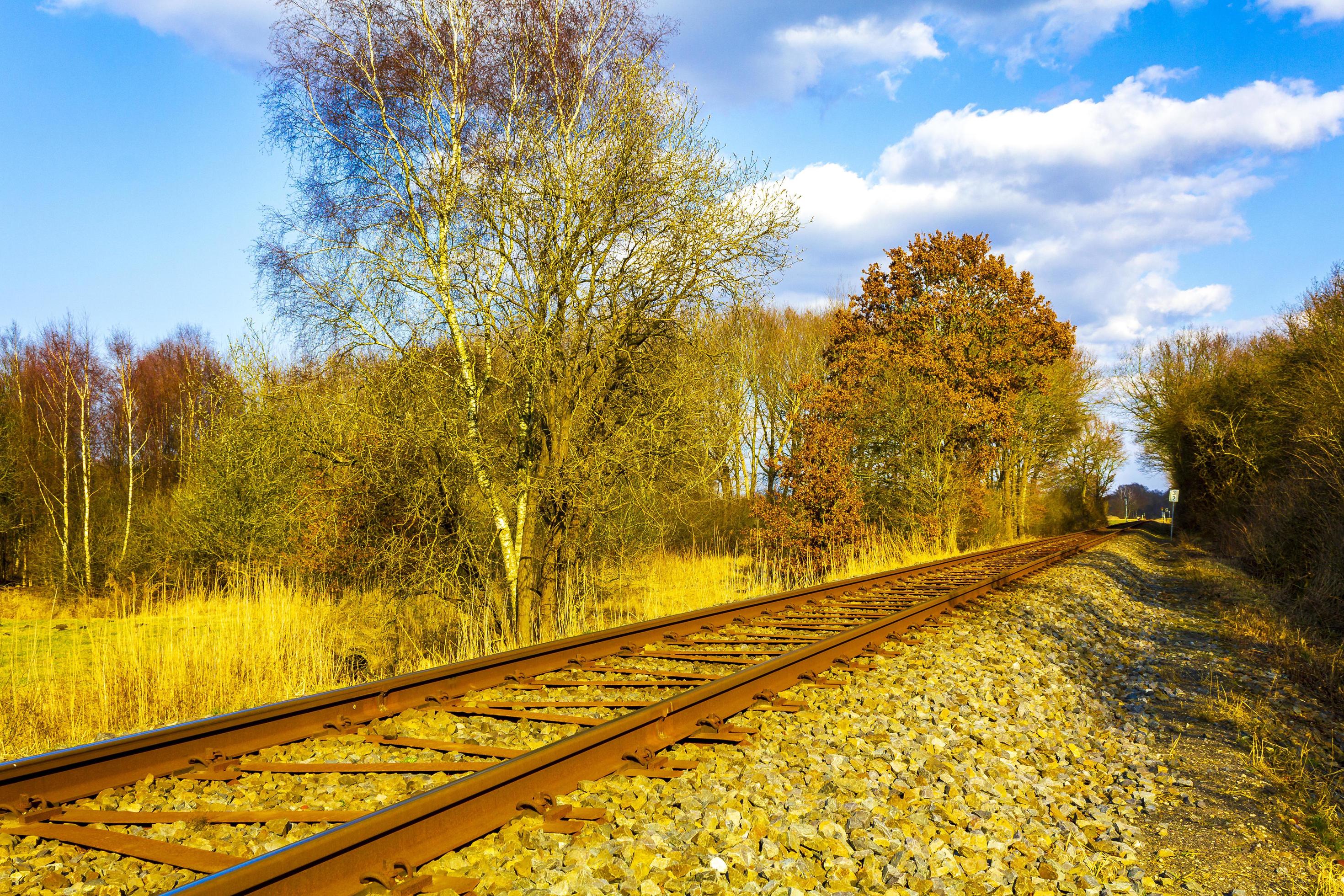 Train tracks through nature to infinity in Germany. Stock Free