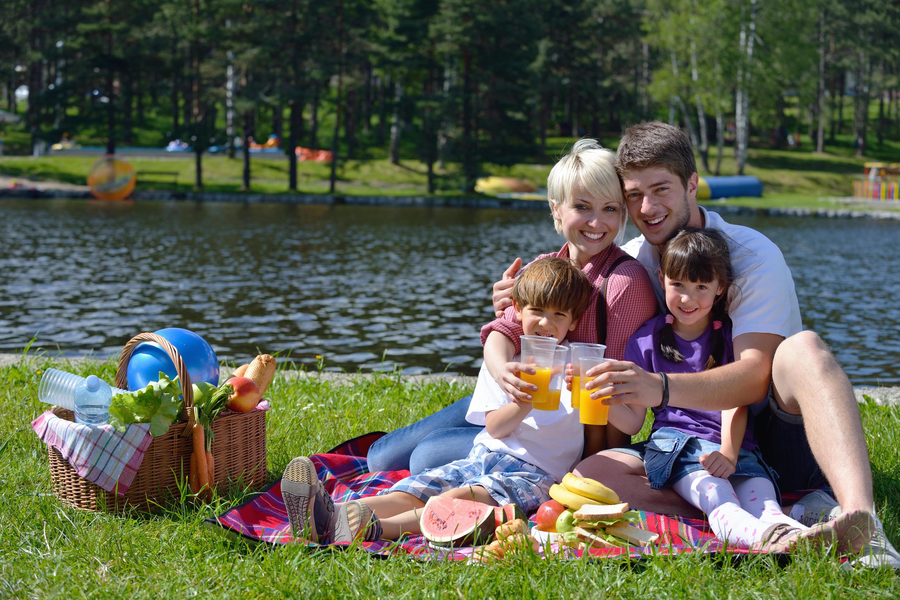 Happy family playing together in a picnic outdoors Stock Free