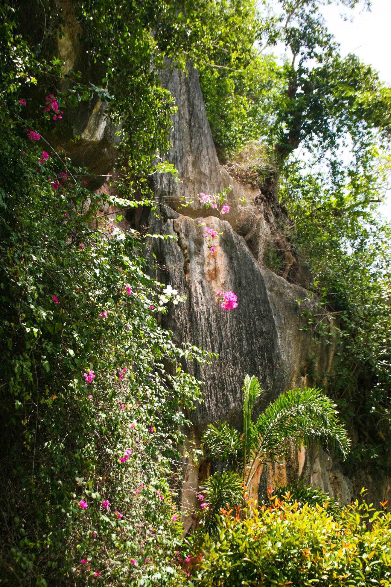 beautiful mountain nature in south Thailand Stock Free