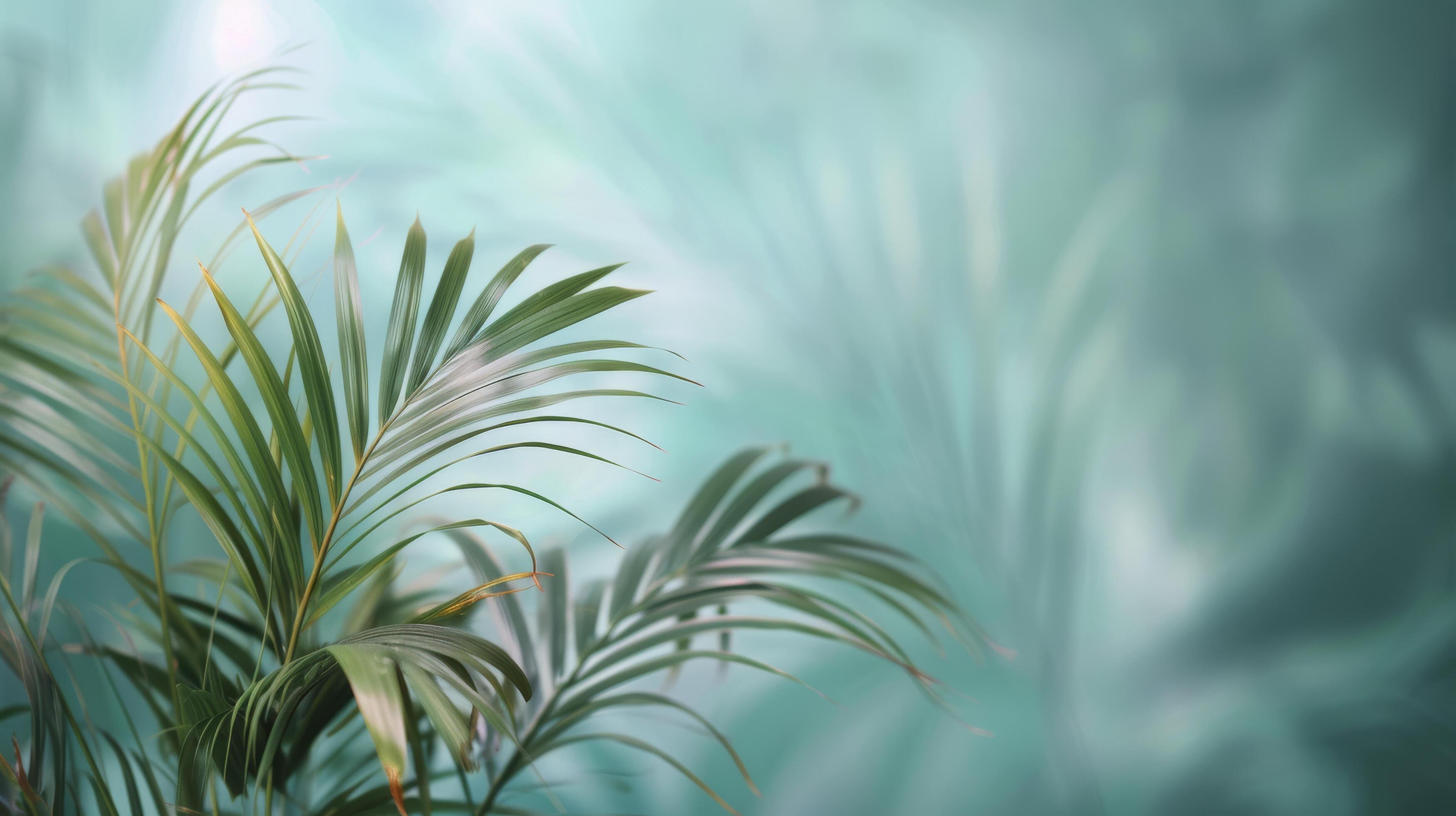 
									Tropical Leaf Arrangement on Turquoise Background Stock Free