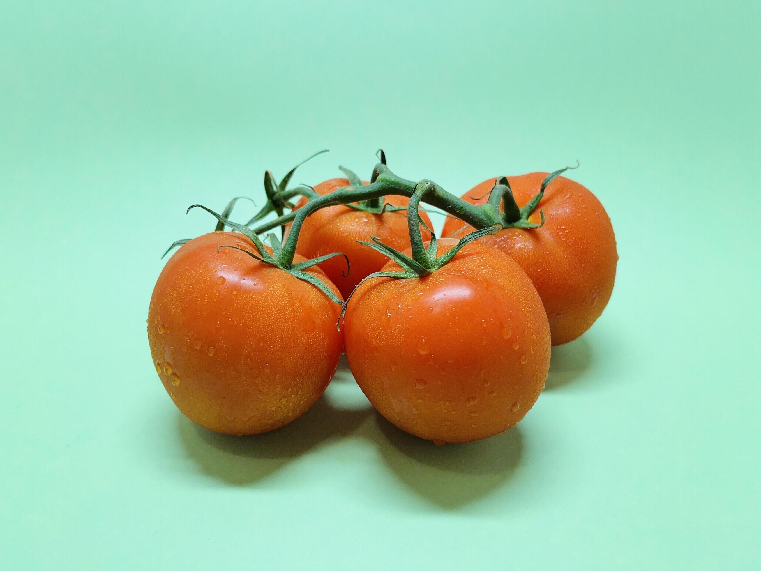 Bunch of fresh, red tomatoes with green stems isolated on blue background. Clipping path. Stock Free