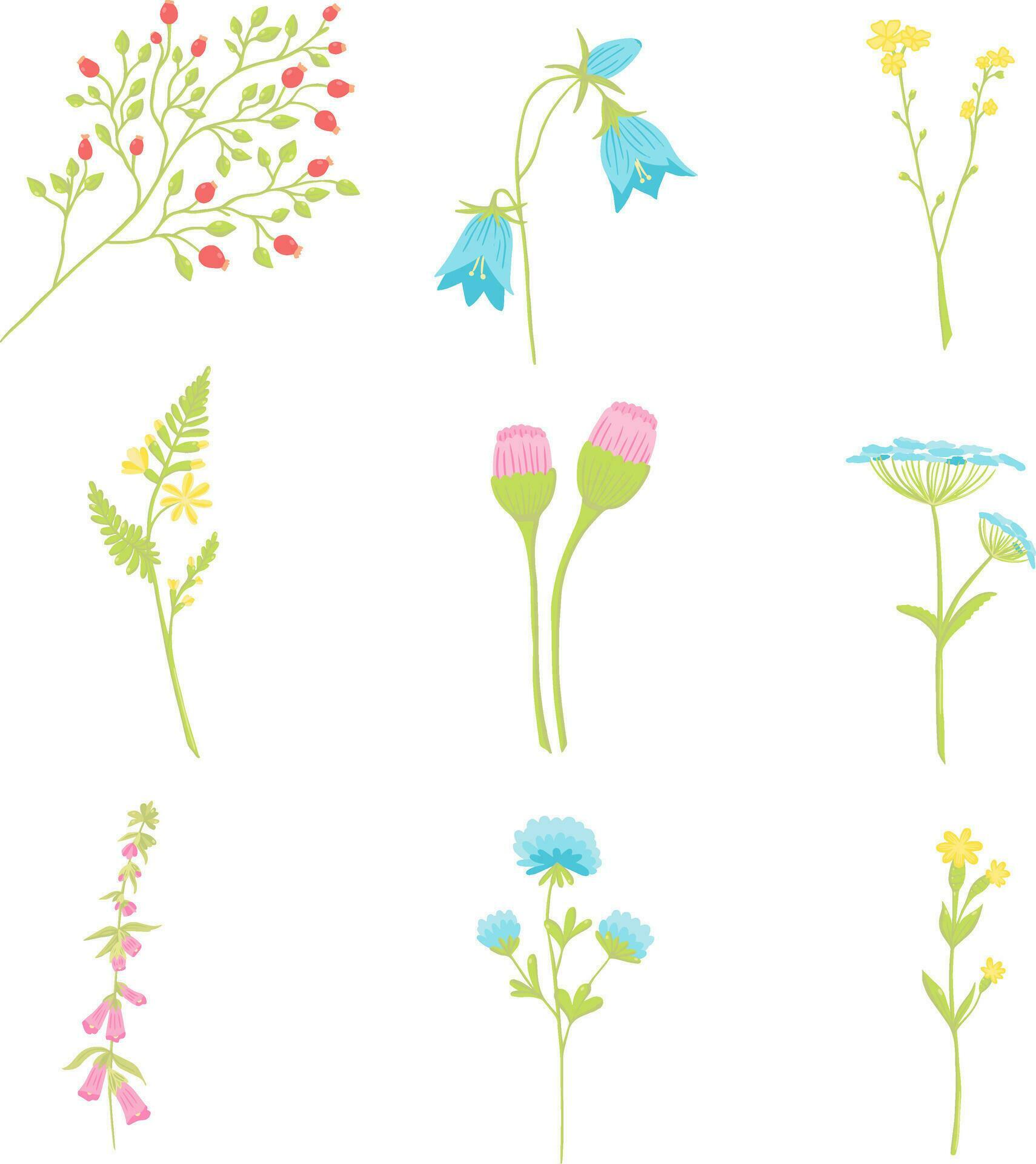 Floral set, tiny flowers vector illustrations, botanical Stock Free