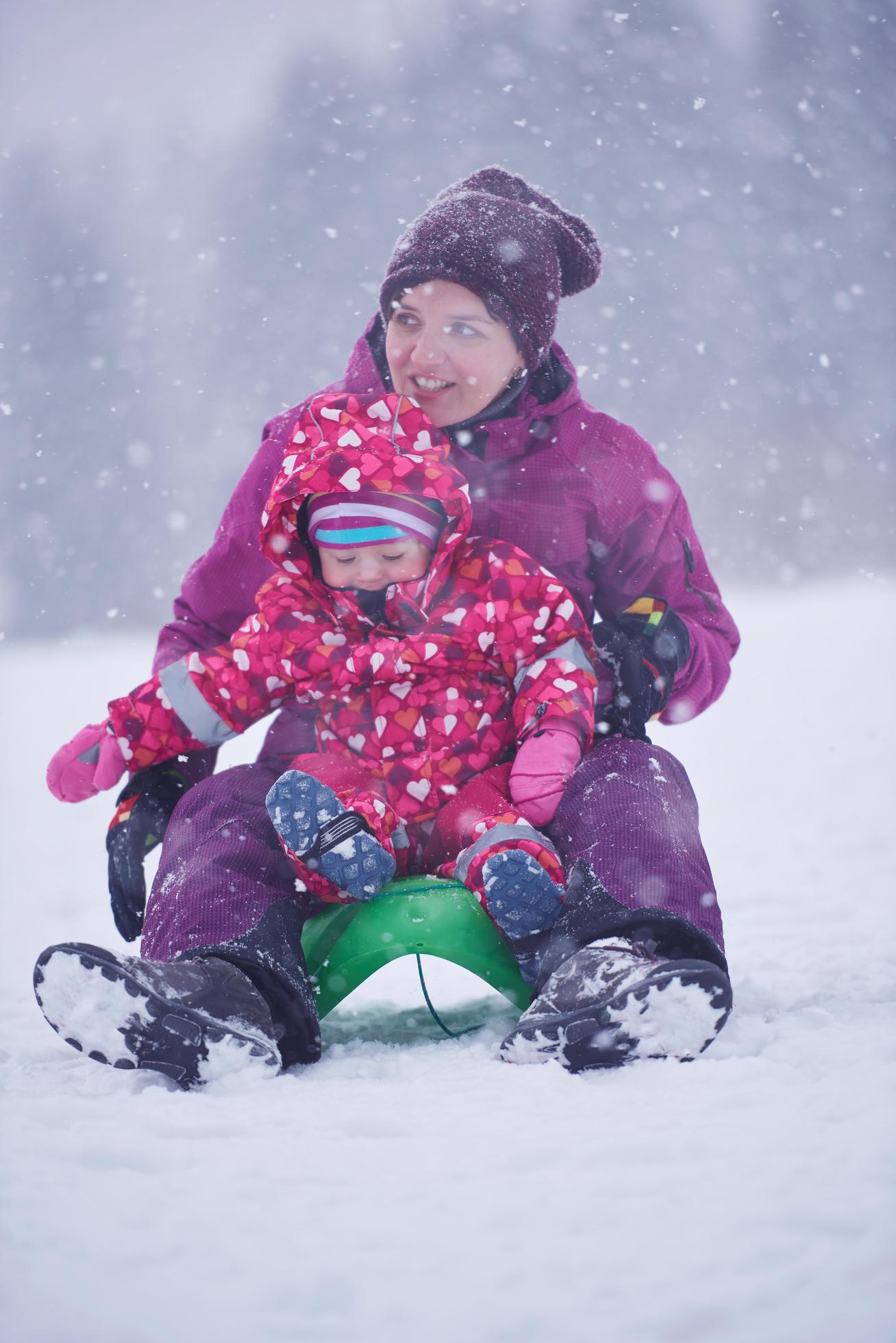 Family in winter landscape Stock Free