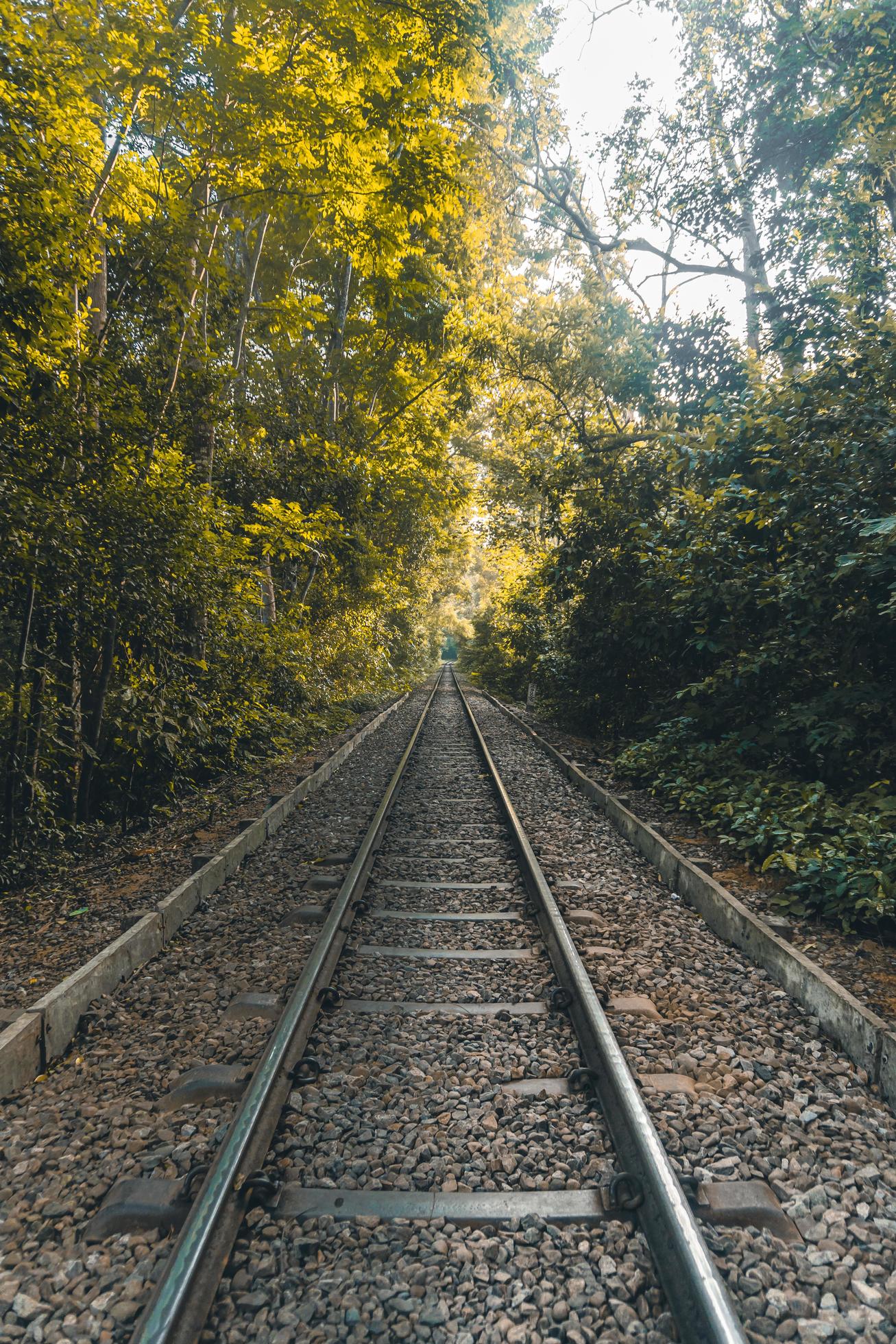 A Beautiful Railway Road in the forest. Stock Free