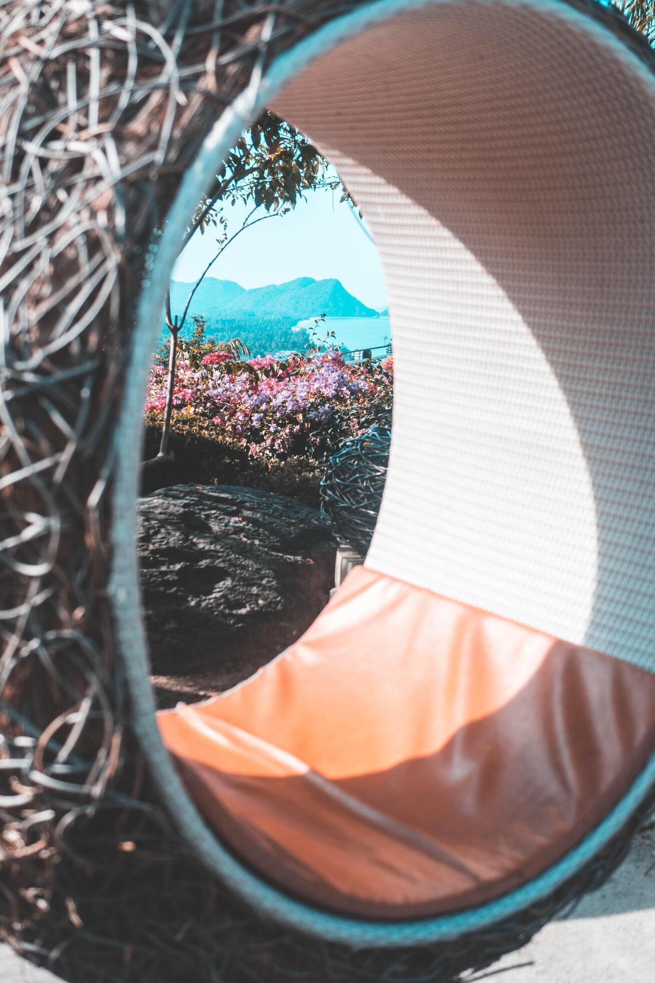 Through the nest round chair, one can see a view of the mountain and forests. Stock Free