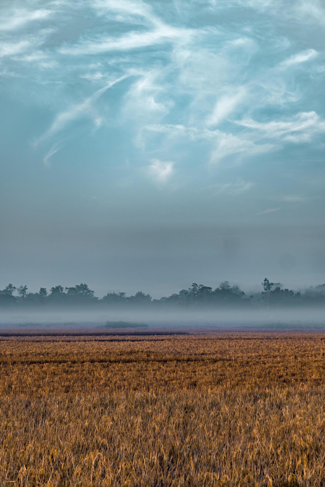 clouds over the field Stock Free