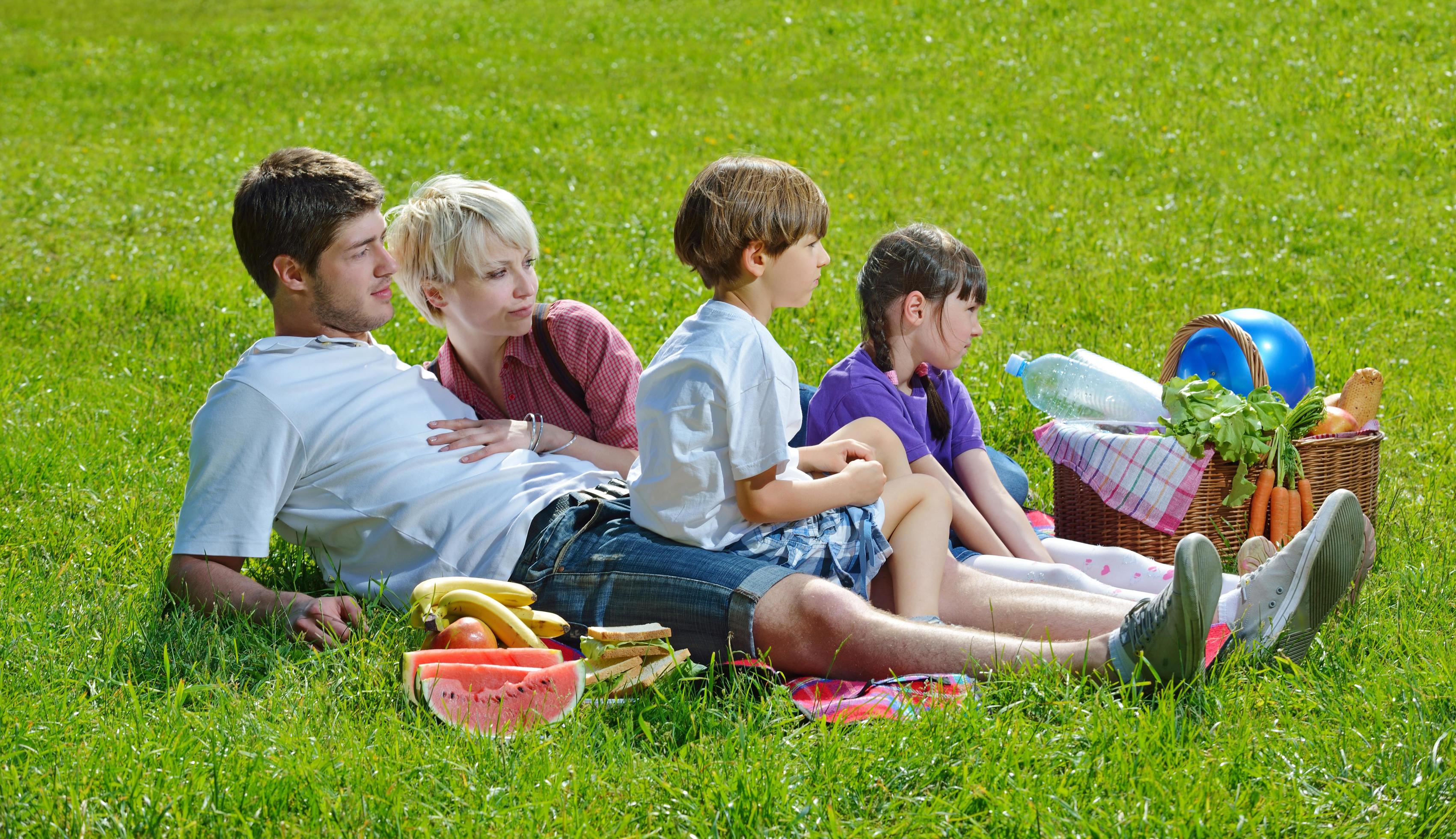 Happy family playing together in a picnic outdoors Stock Free