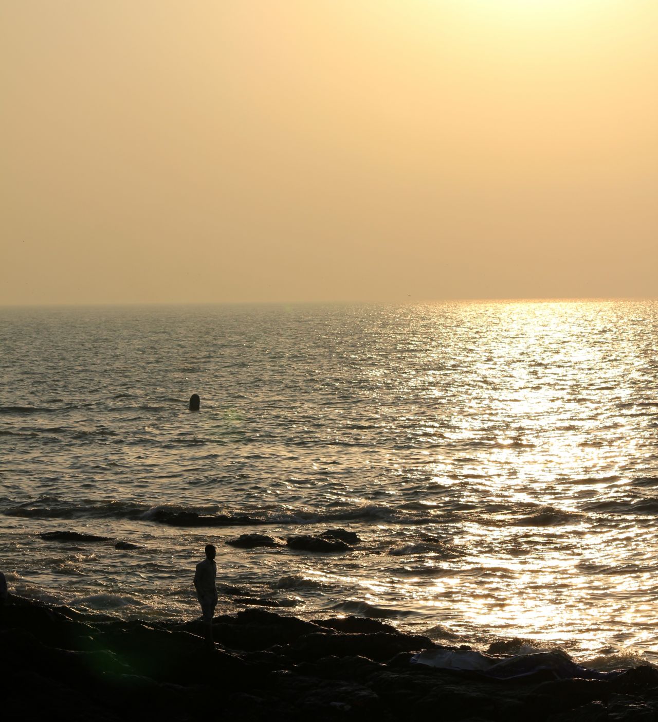 Man Walking Seashore Stock Free