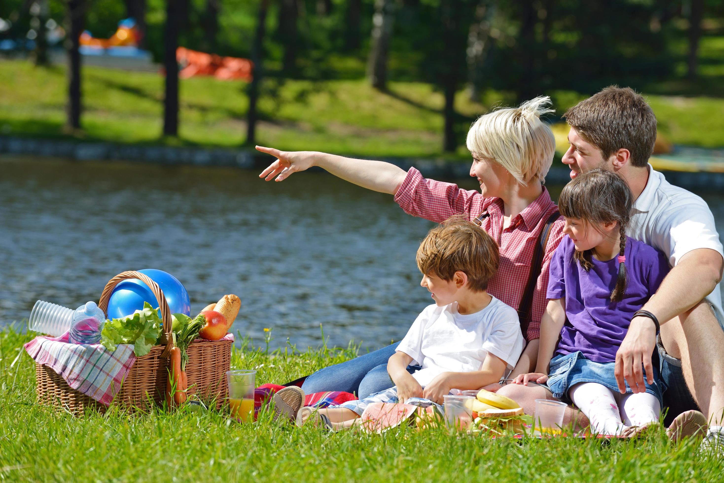 Happy family playing together in a picnic outdoors Stock Free