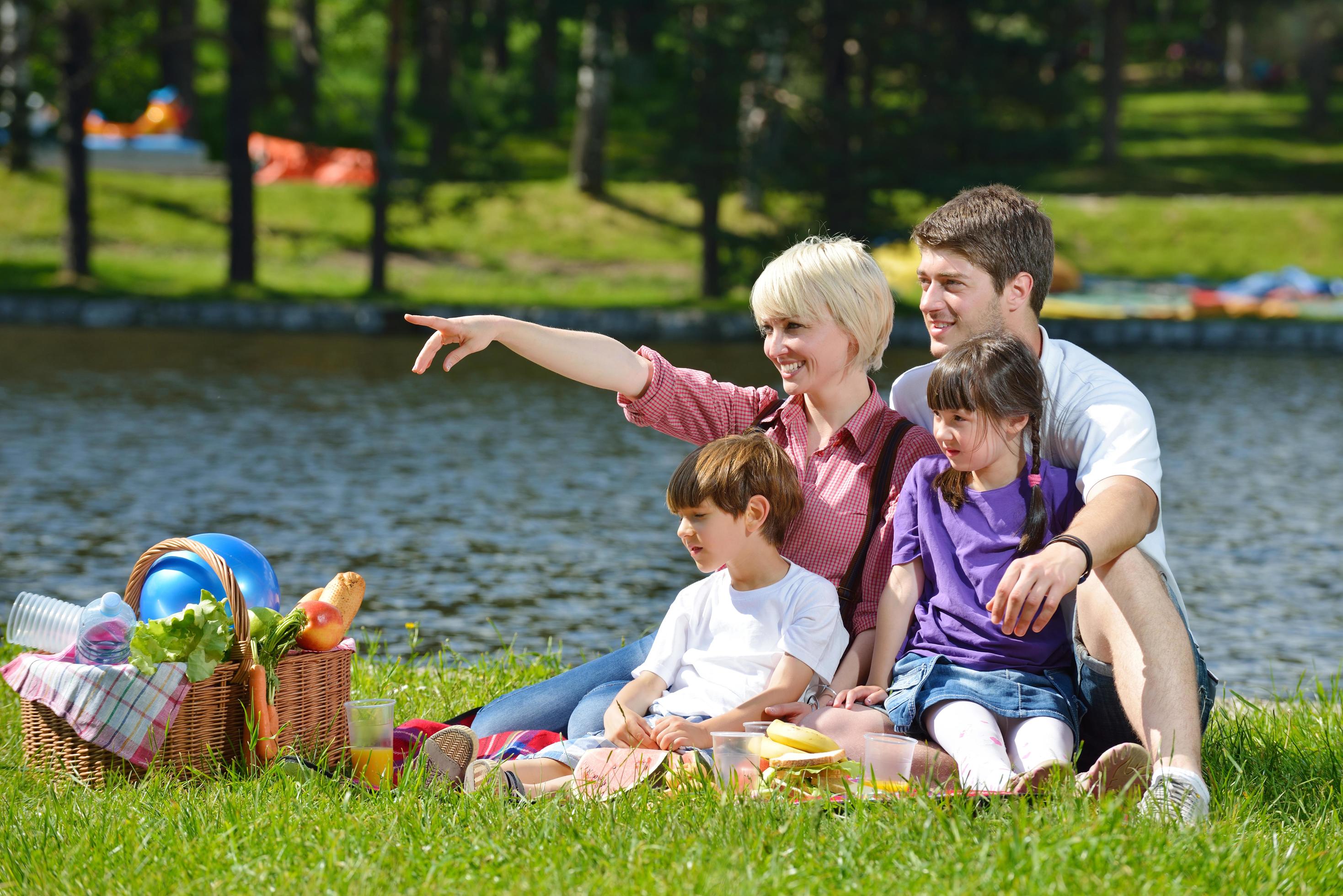 Happy family playing together in a picnic outdoors Stock Free