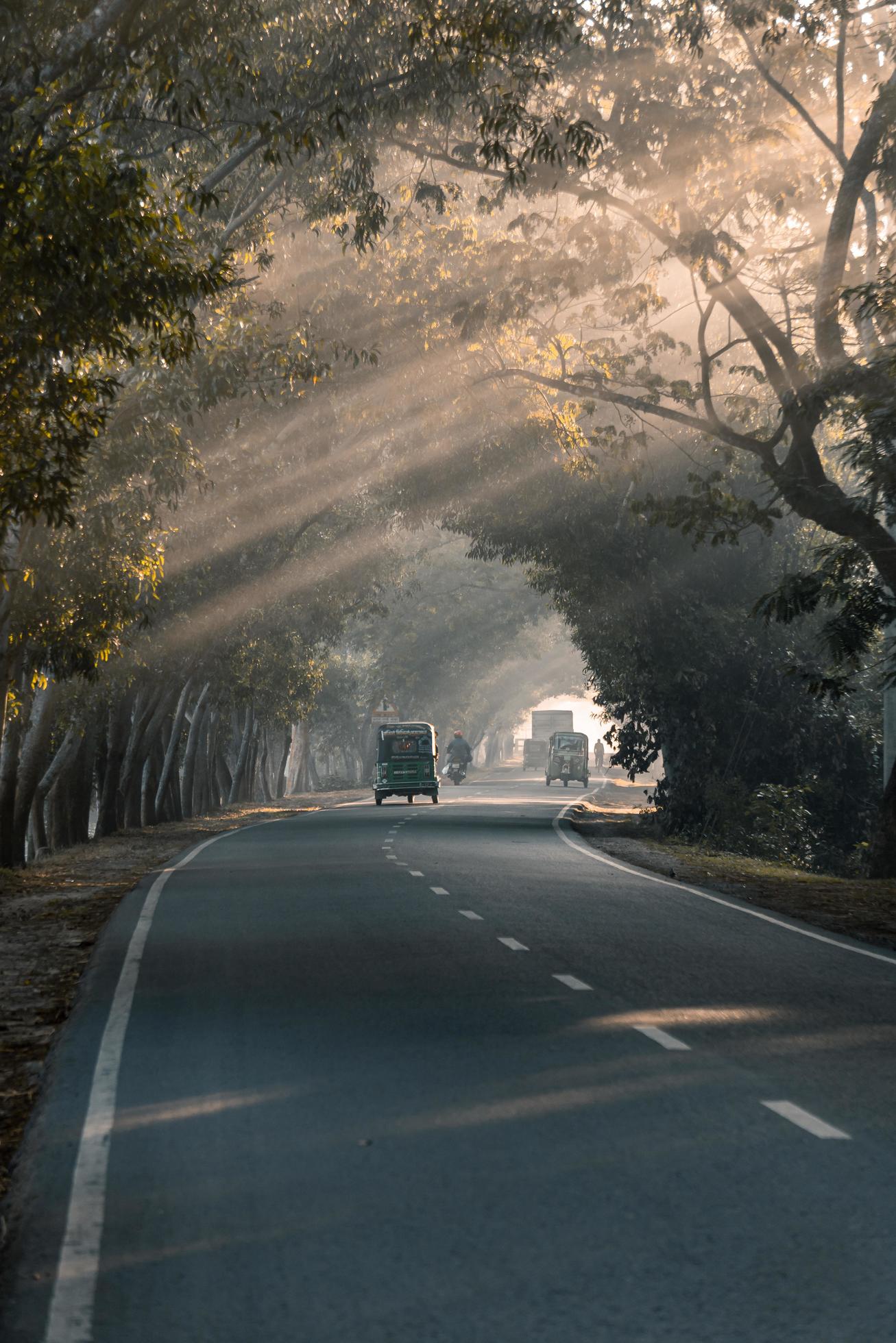 driving through the foggy road Stock Free