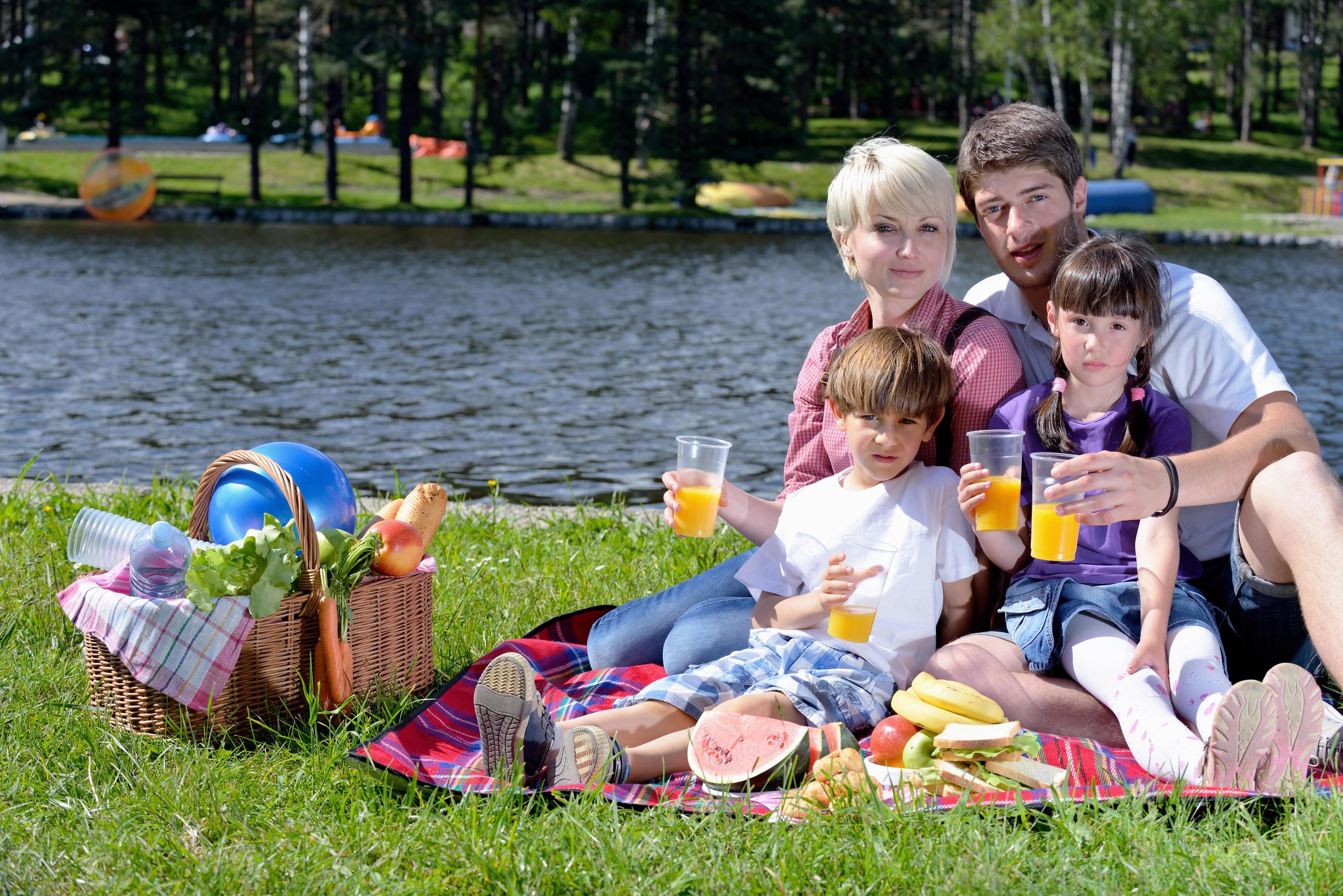 Happy family playing together in a picnic outdoors Stock Free