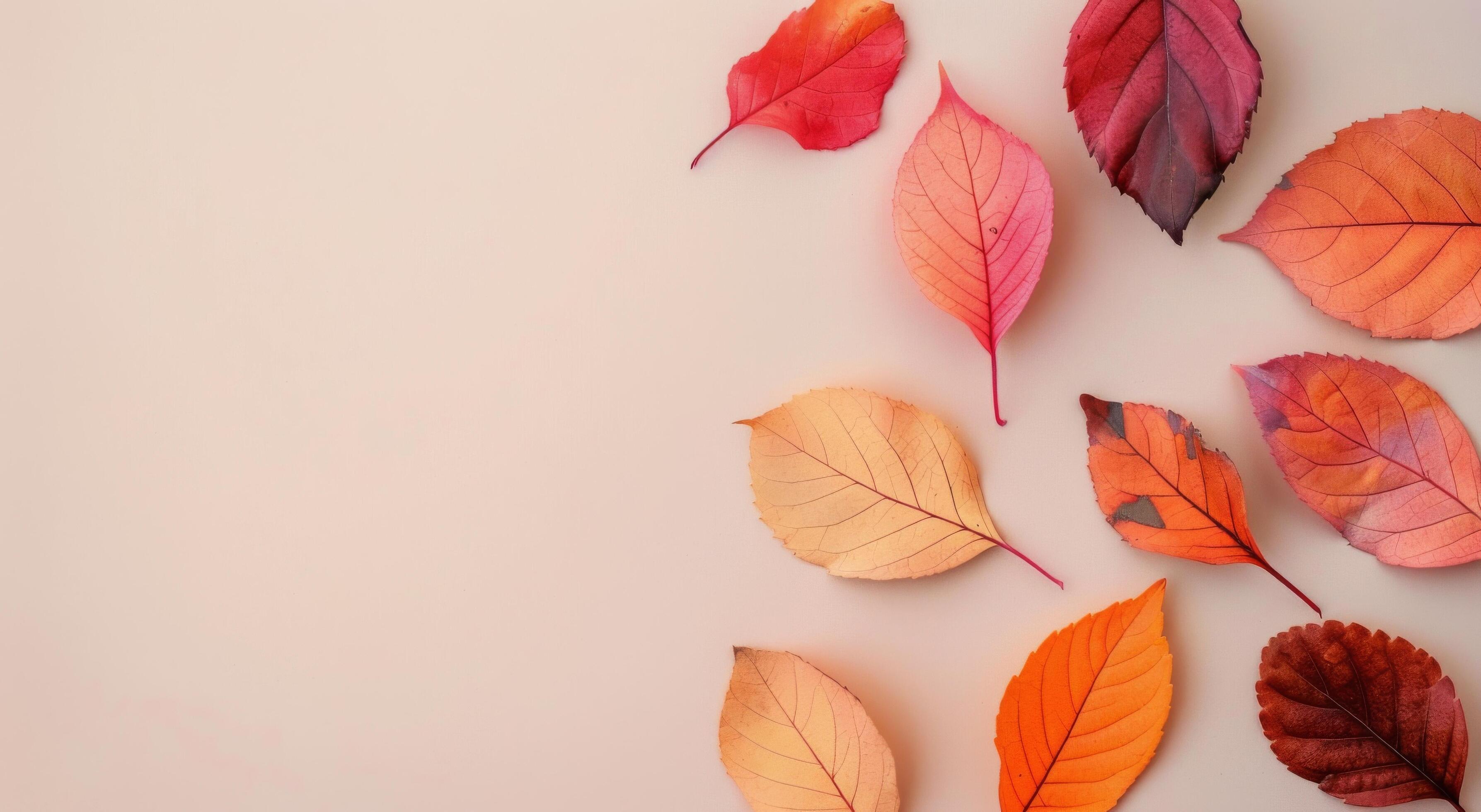 Pink Flowers and Leaves on Peach Background Stock Free