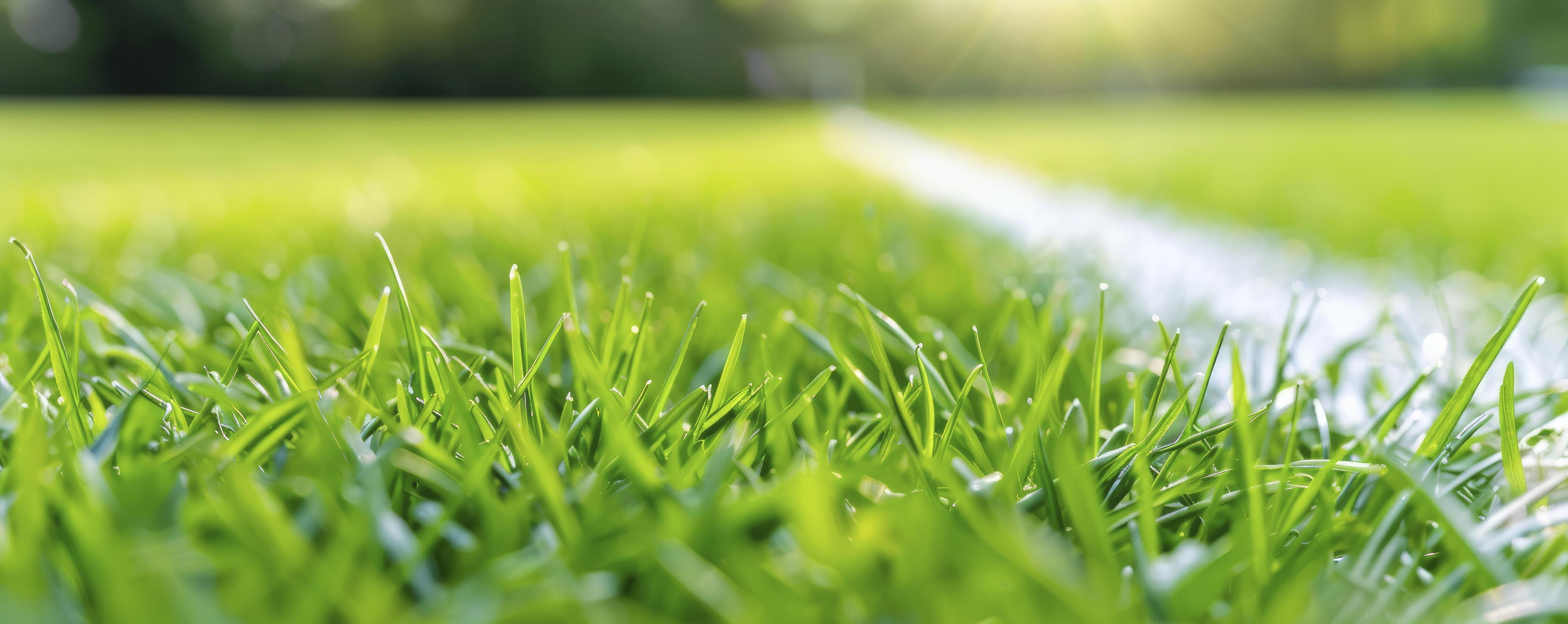 closeup of green soccer field with white stripes with blur sunlight background Stock Free