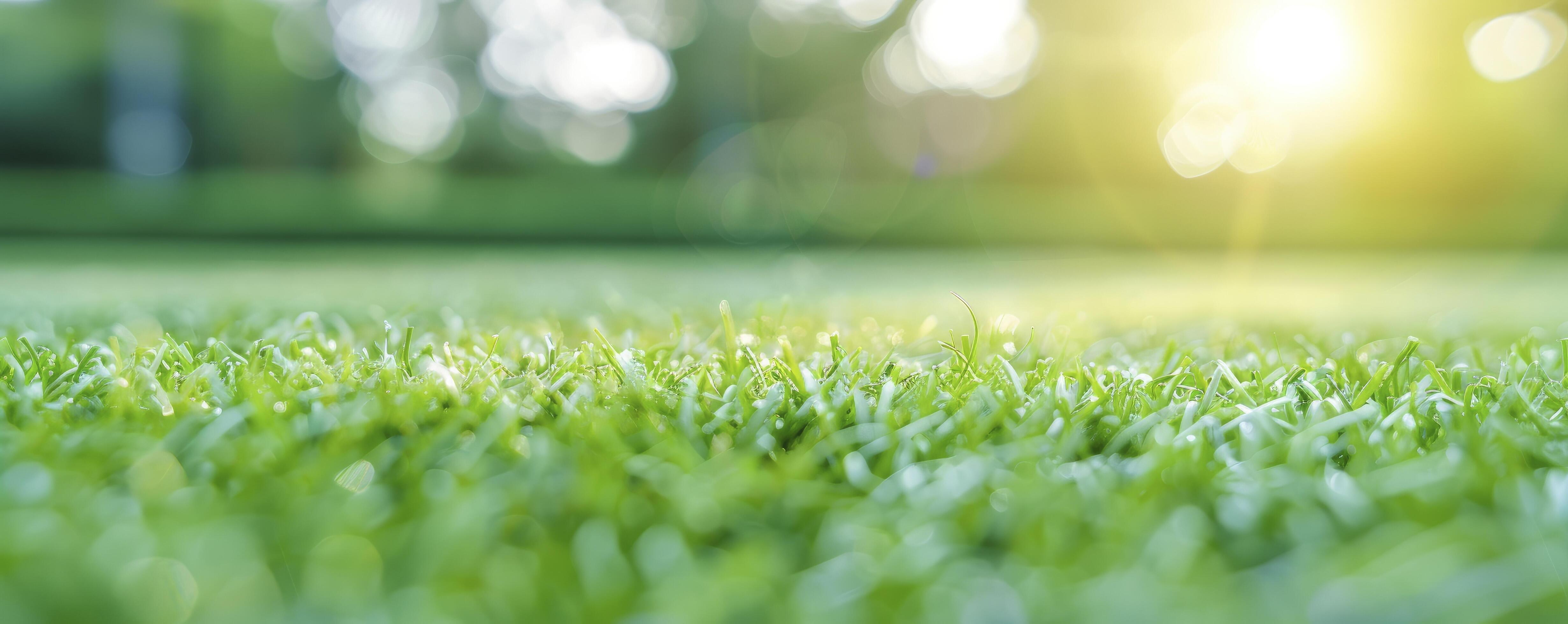 closeup of green soccer field with white stripes with blur sunlight background Stock Free