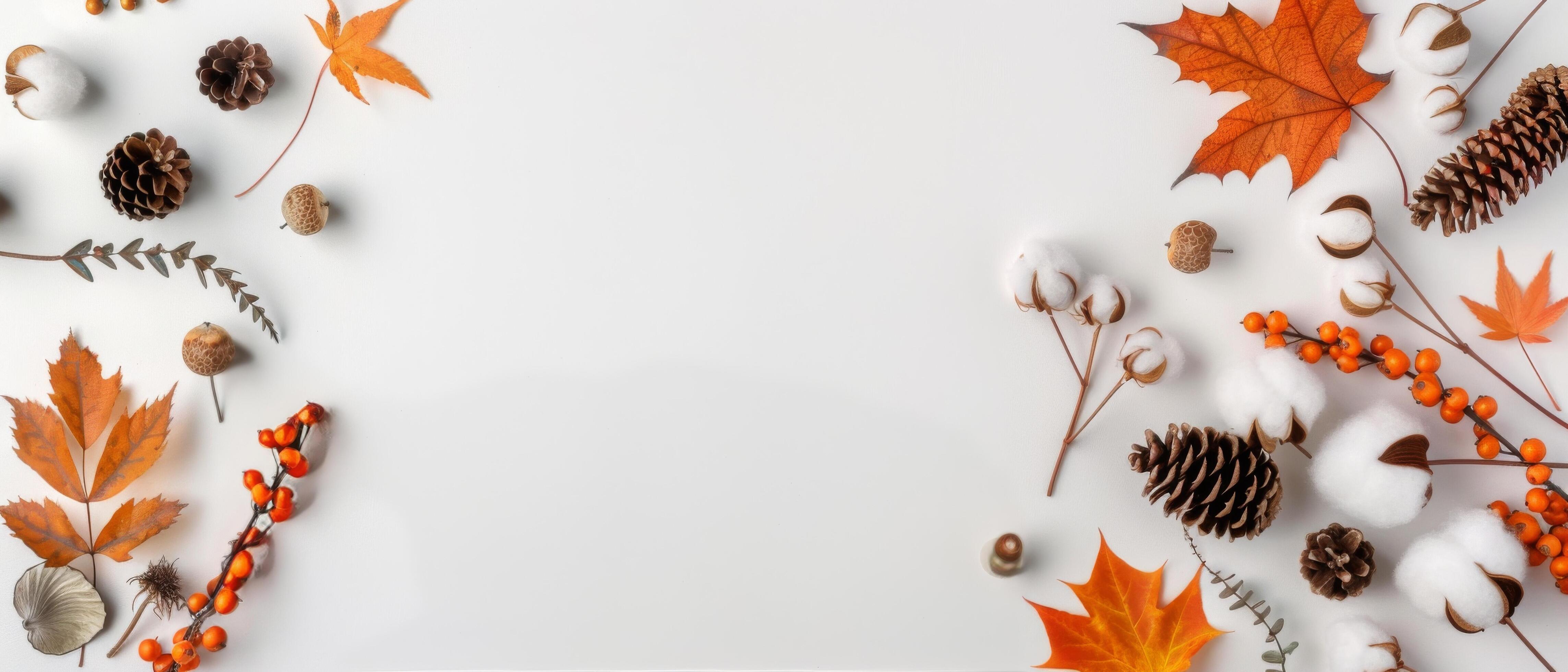 Fall Foliage and Cotton Bolls on White Background Stock Free