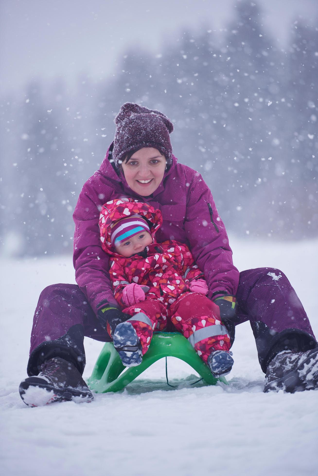 Family in winter landscape Stock Free