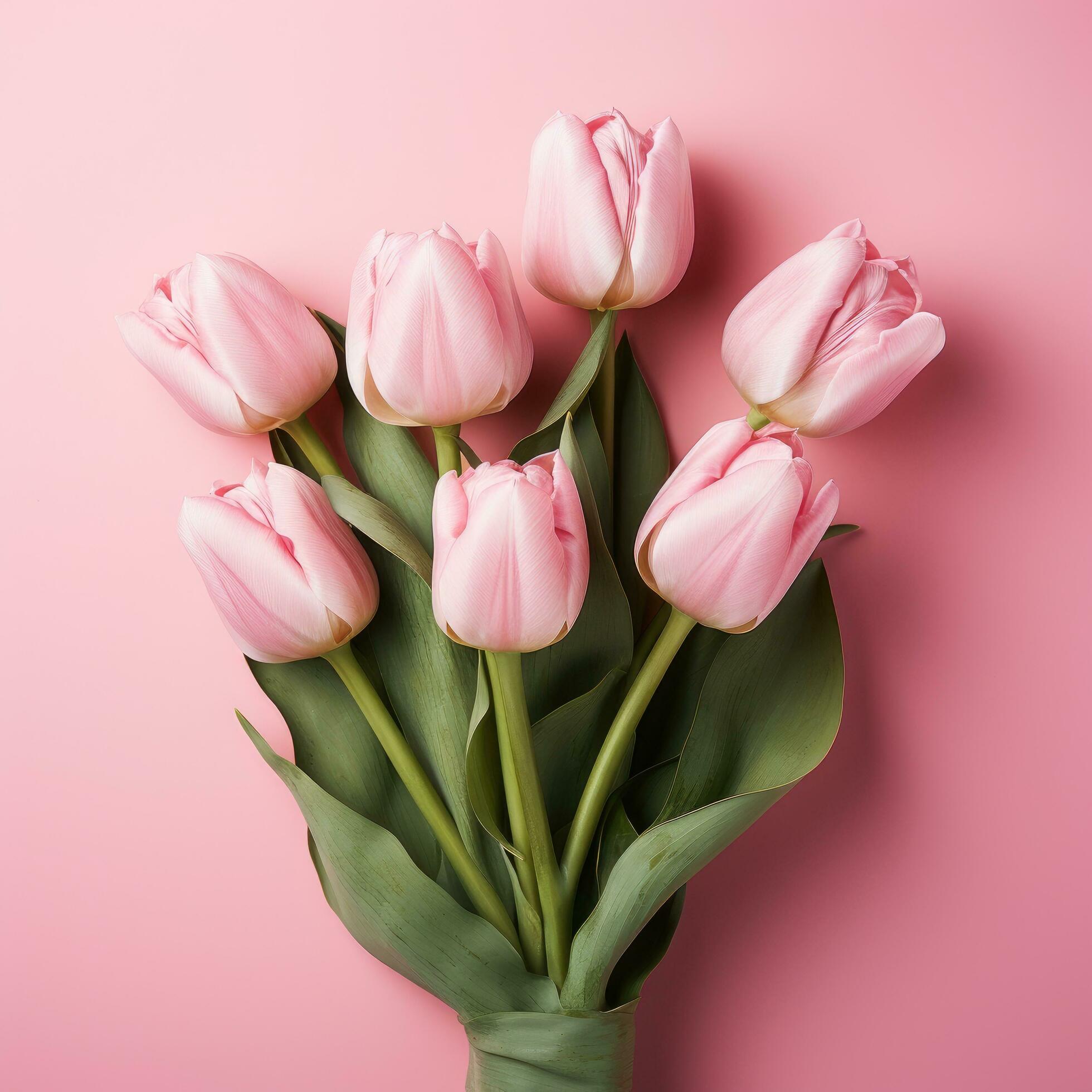 8 march is a pink background with a pink tulip Free Photo