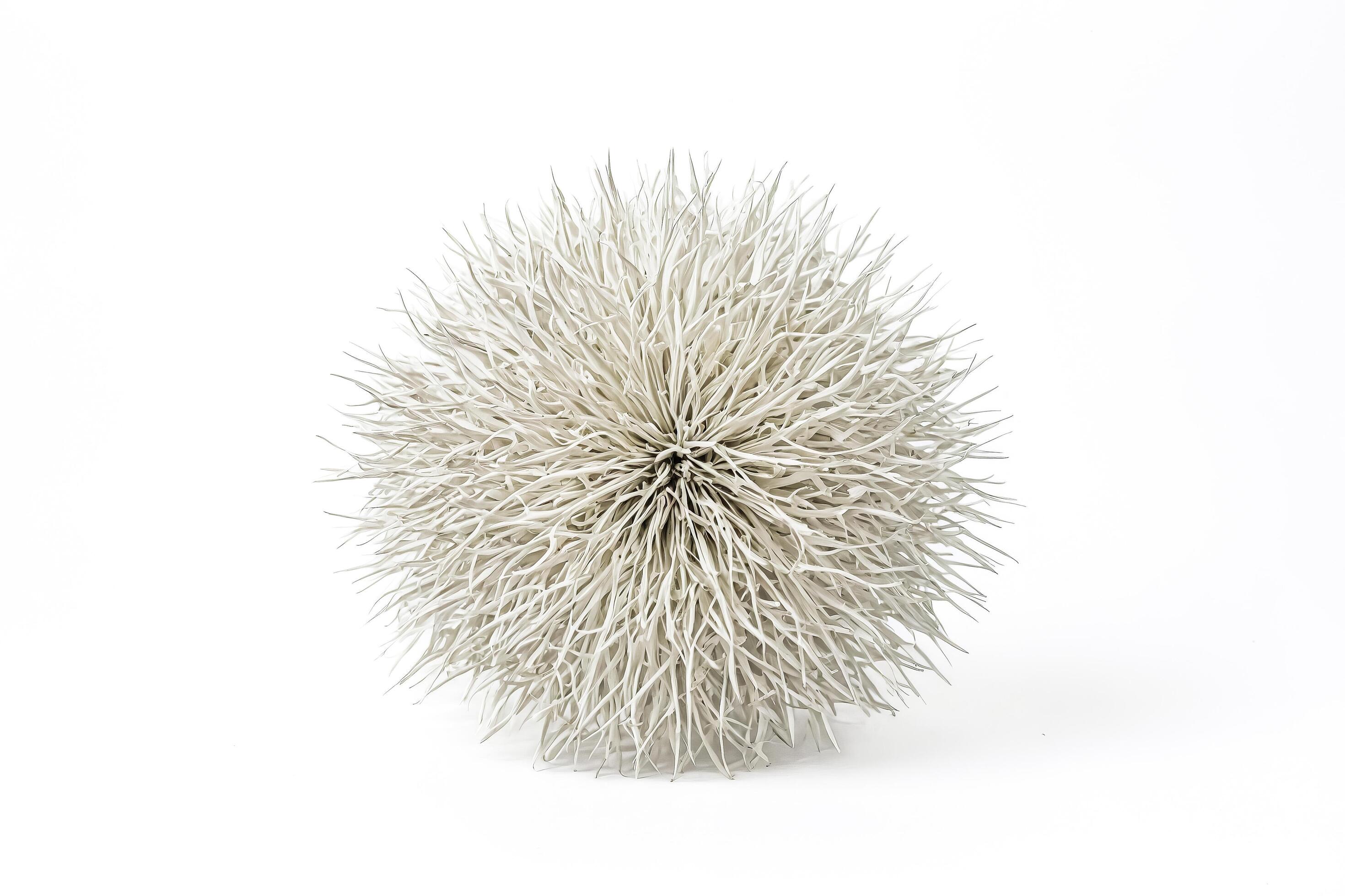 White Spiky Ball on White Background Stock Free