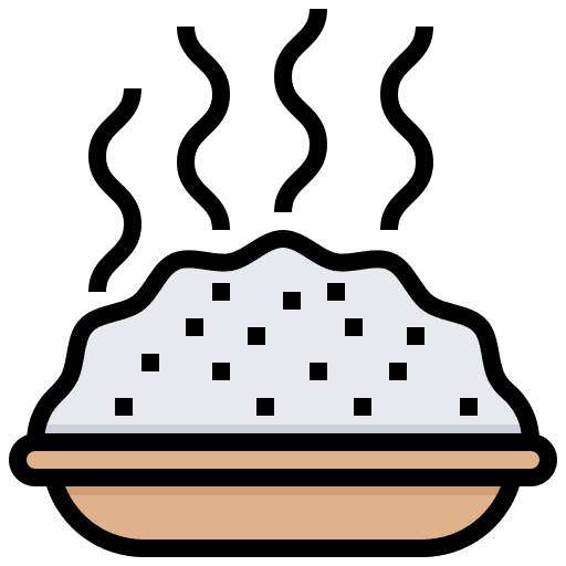 Cook, dish, food icon