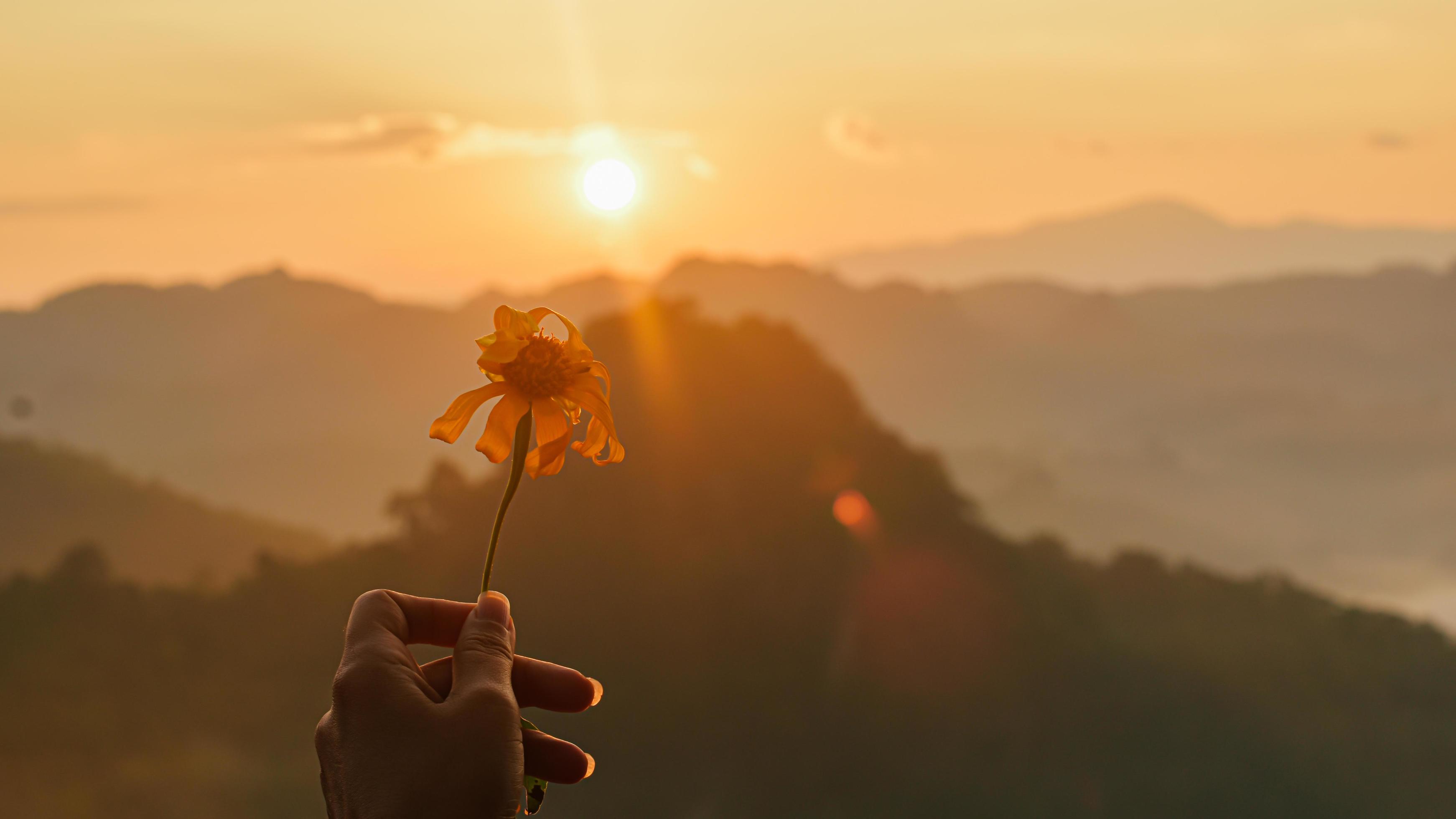 
									Female hands holding flowers in nature view with surrounding mountains in morning There is mist and soft light at sunrise. Stock Free